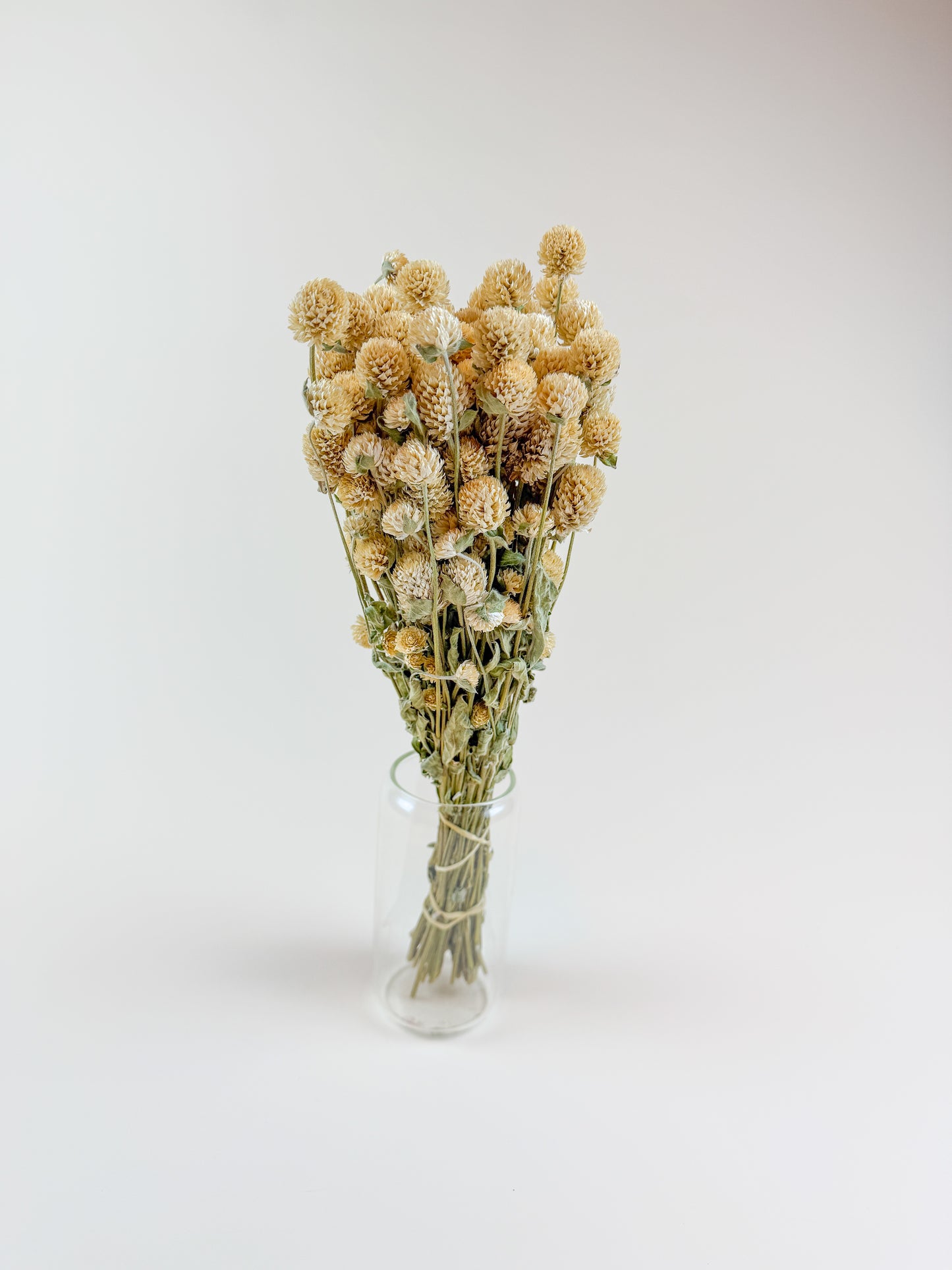 Honey Globe Amaranth – Naturally Dried Flowers