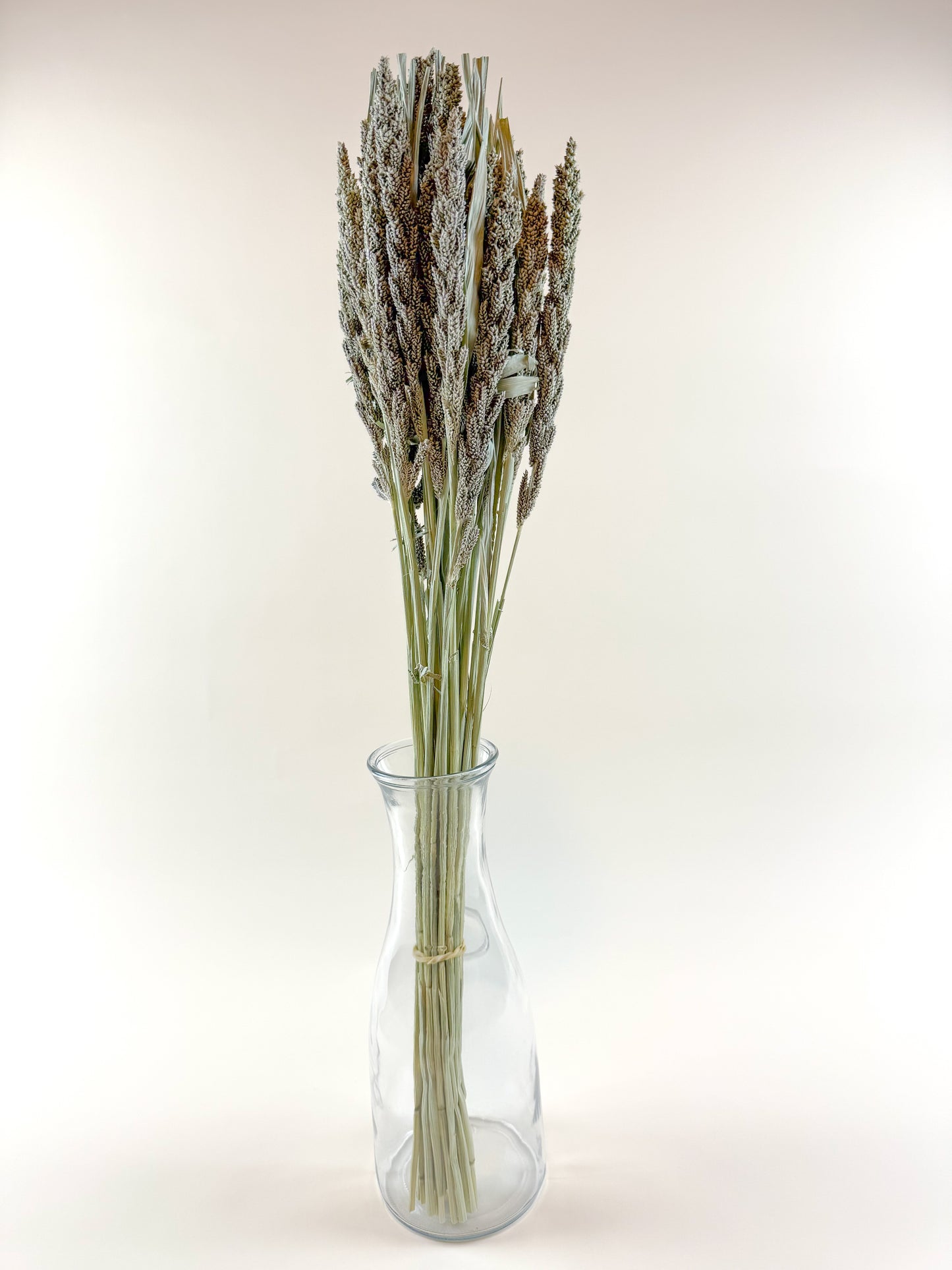 Tapestry Millet – Natural Dried Millet for Floral Design