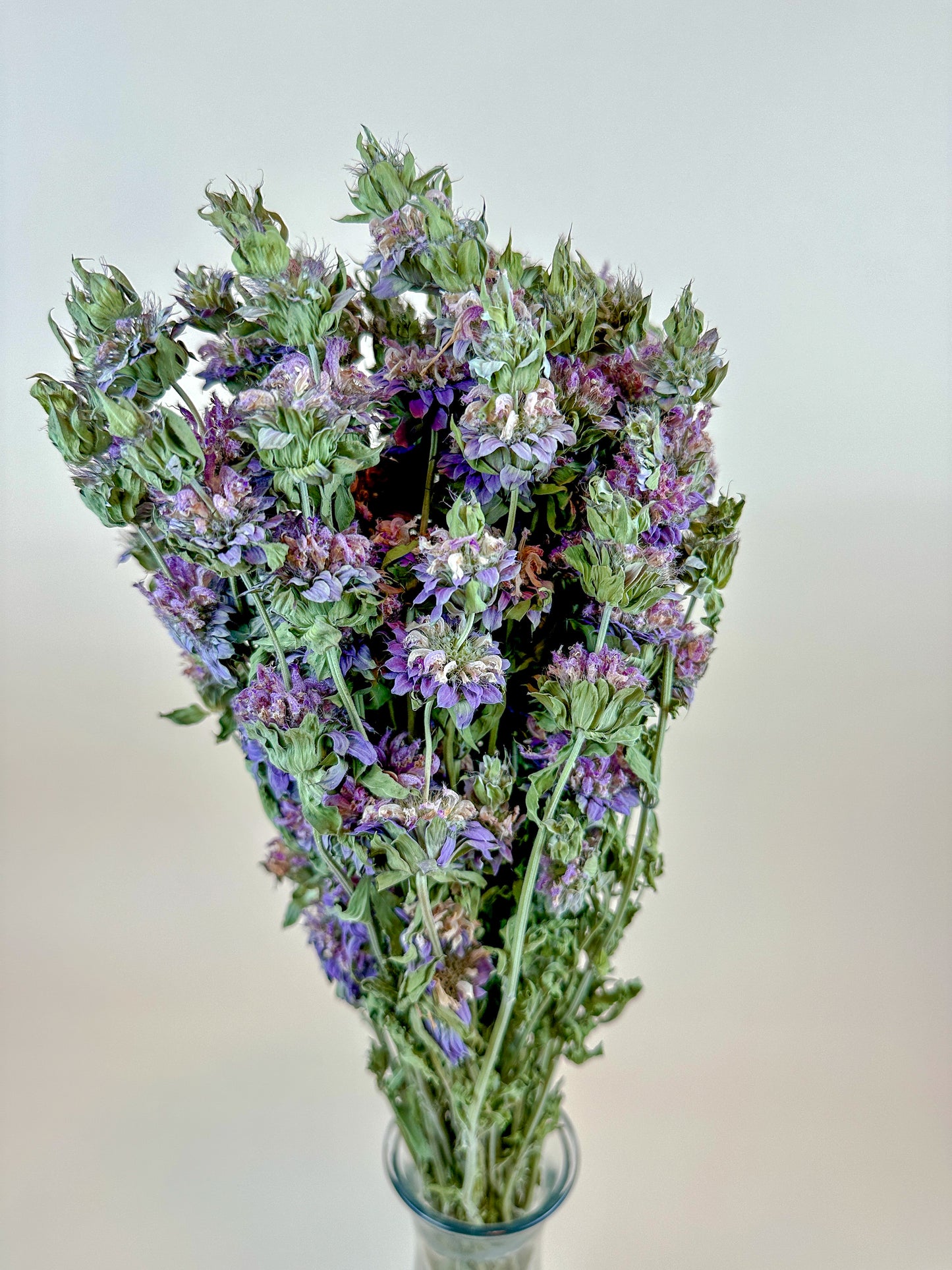 Lemon Mint – Dried Floral w/ Purple-Pink Blooms & Mild Mint