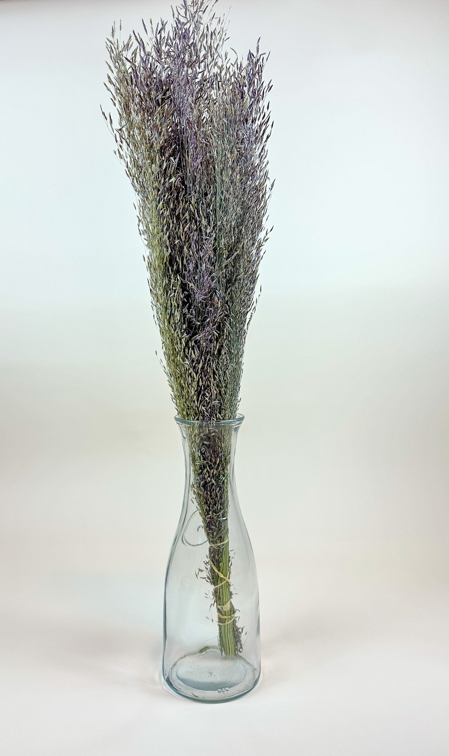 Ruby Silk Grass - Naturally Dried