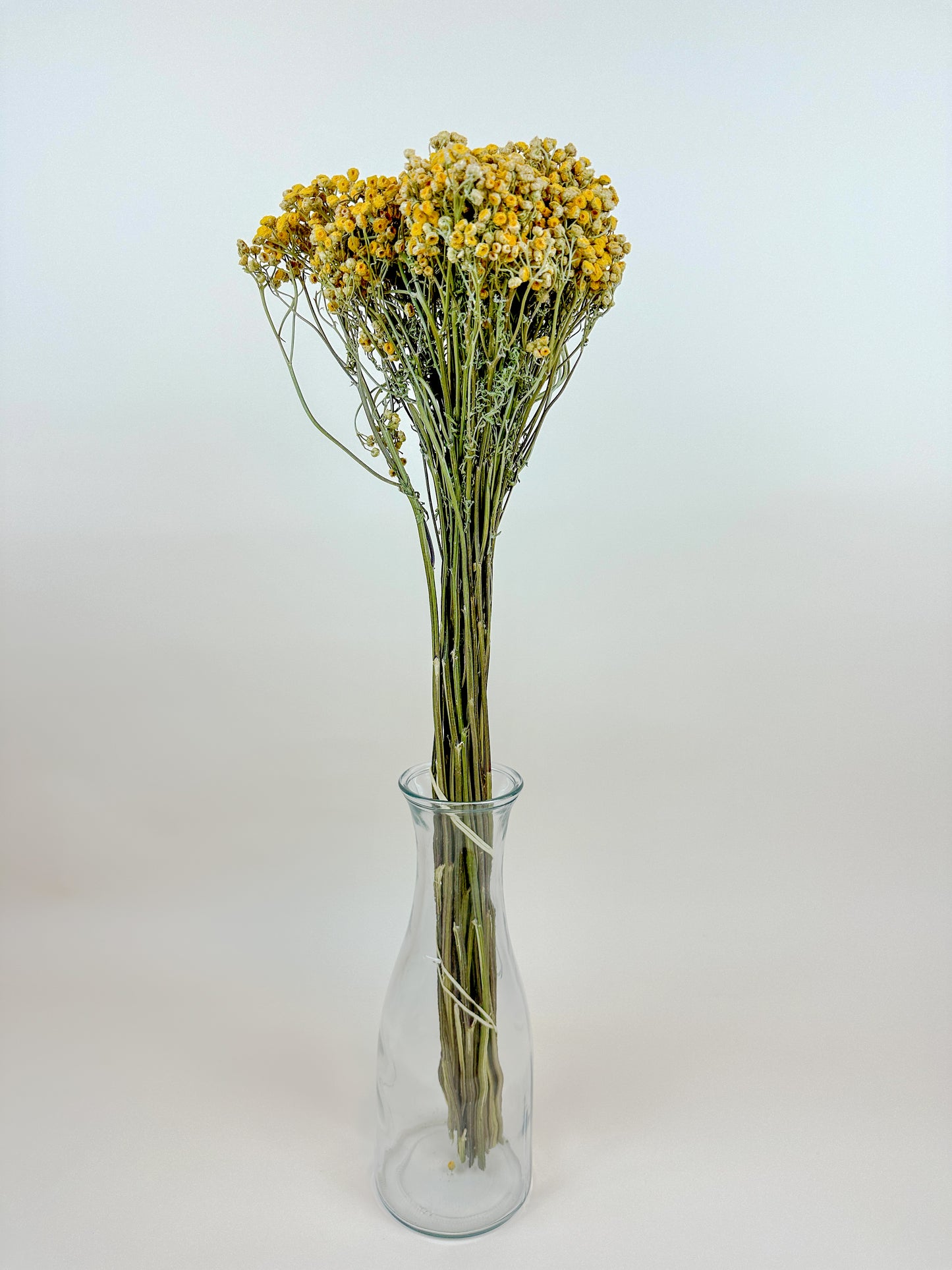 Yellow Tansy - Naturally Dried Flowers