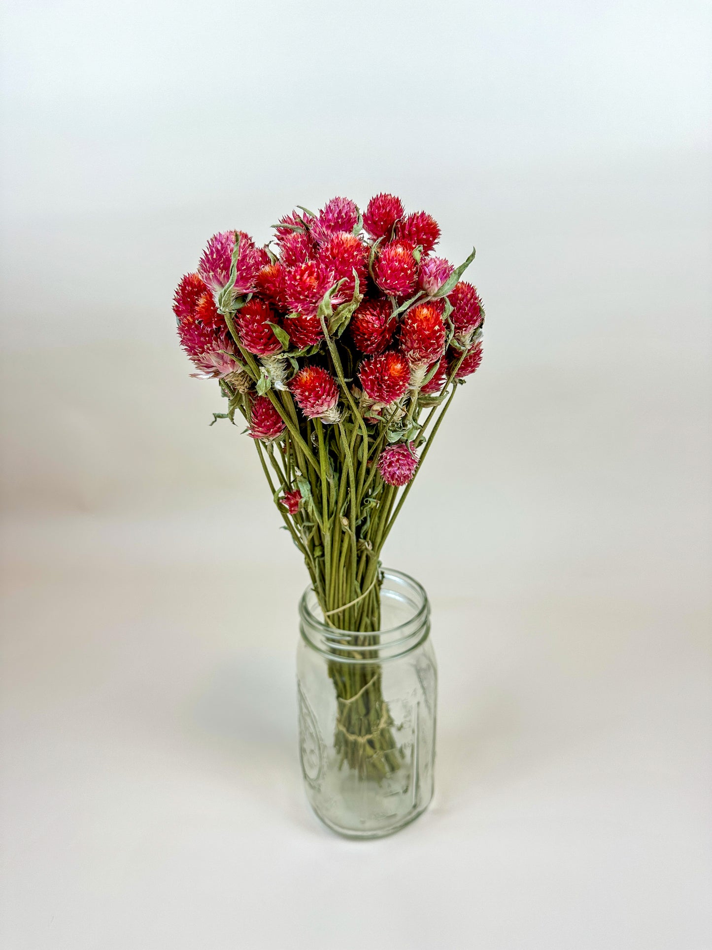 Red Globe Amaranth - Naturally Dried Flowers