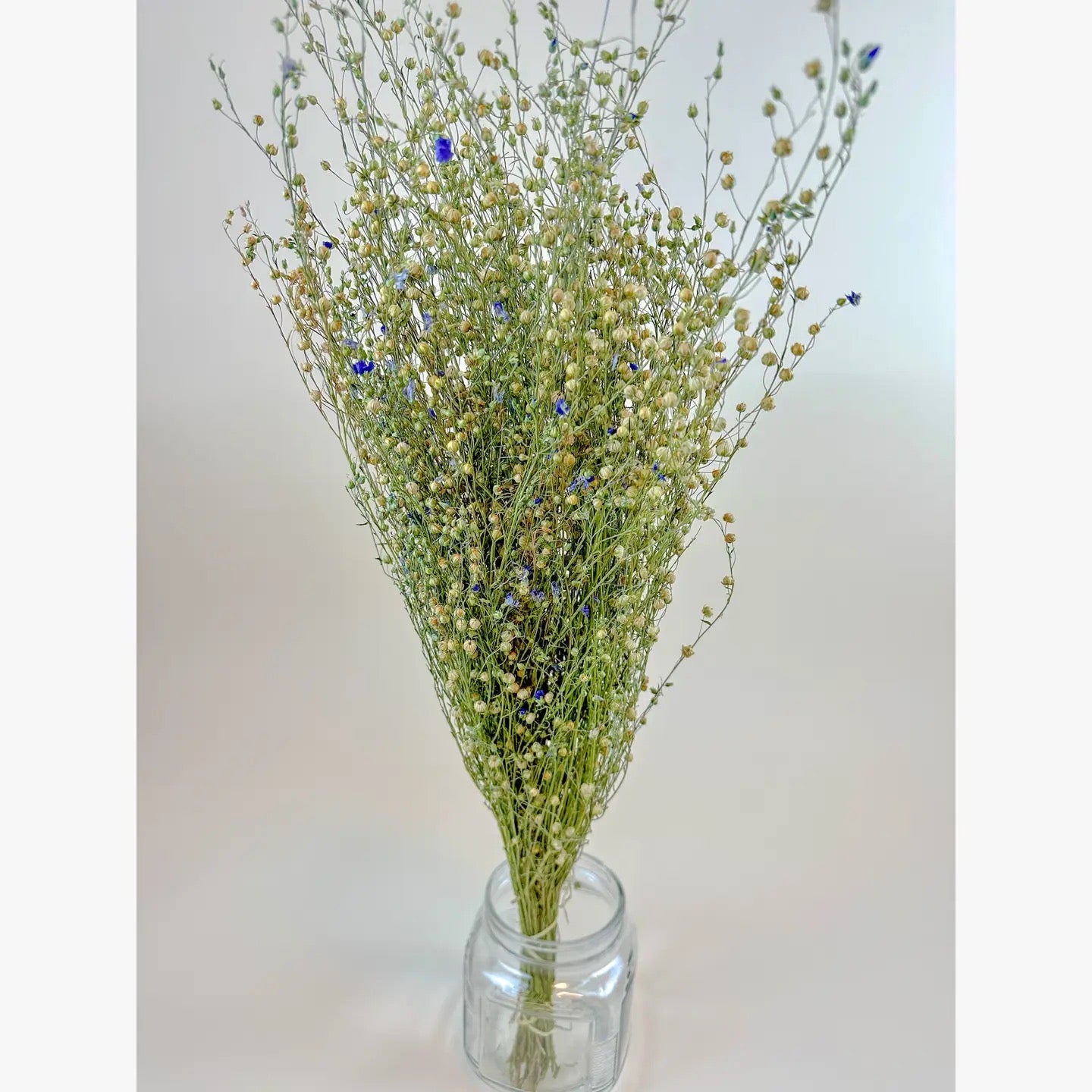 Flax Stems – Naturally Dried Grass for Rustic Décor