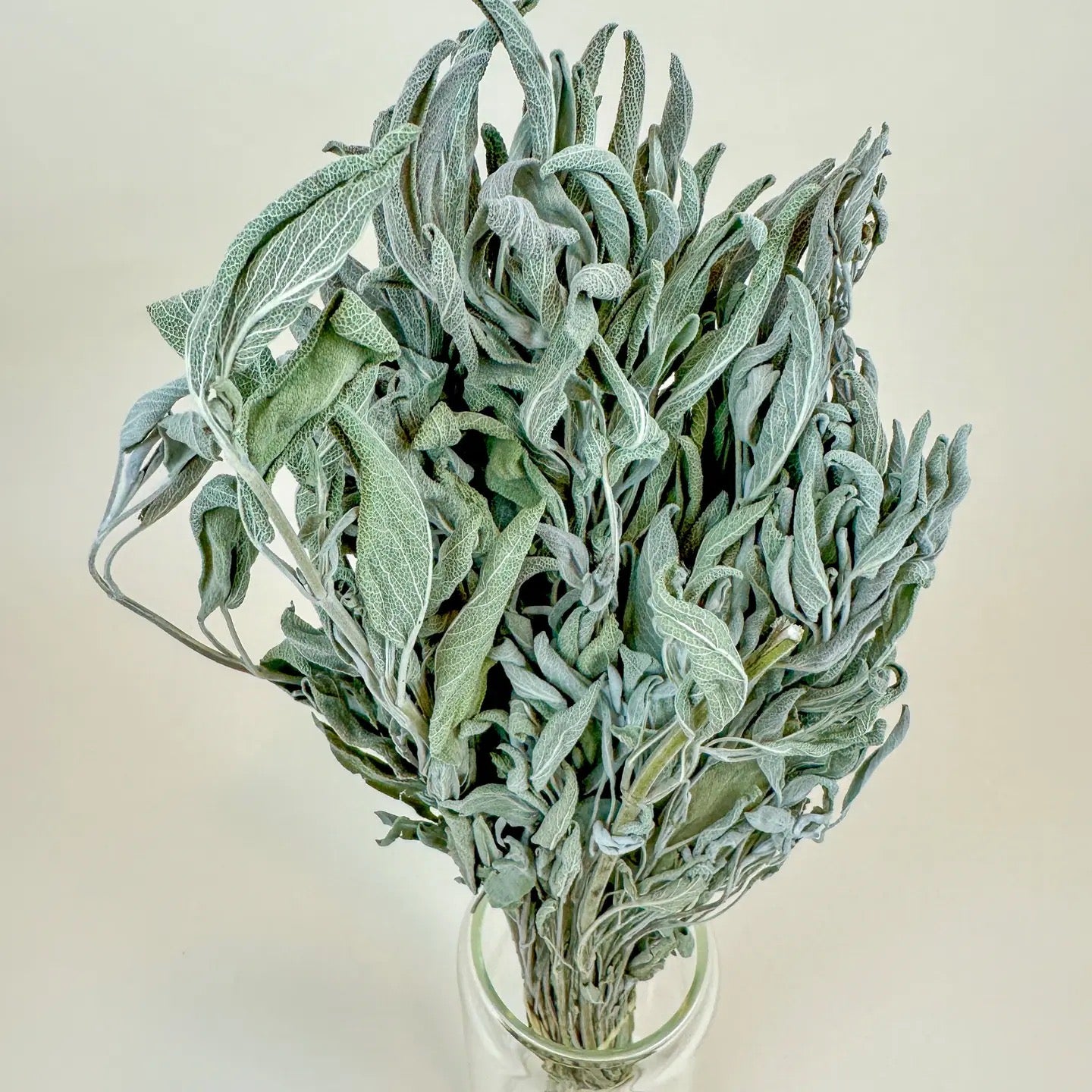 Sage – Naturally Dried Filler