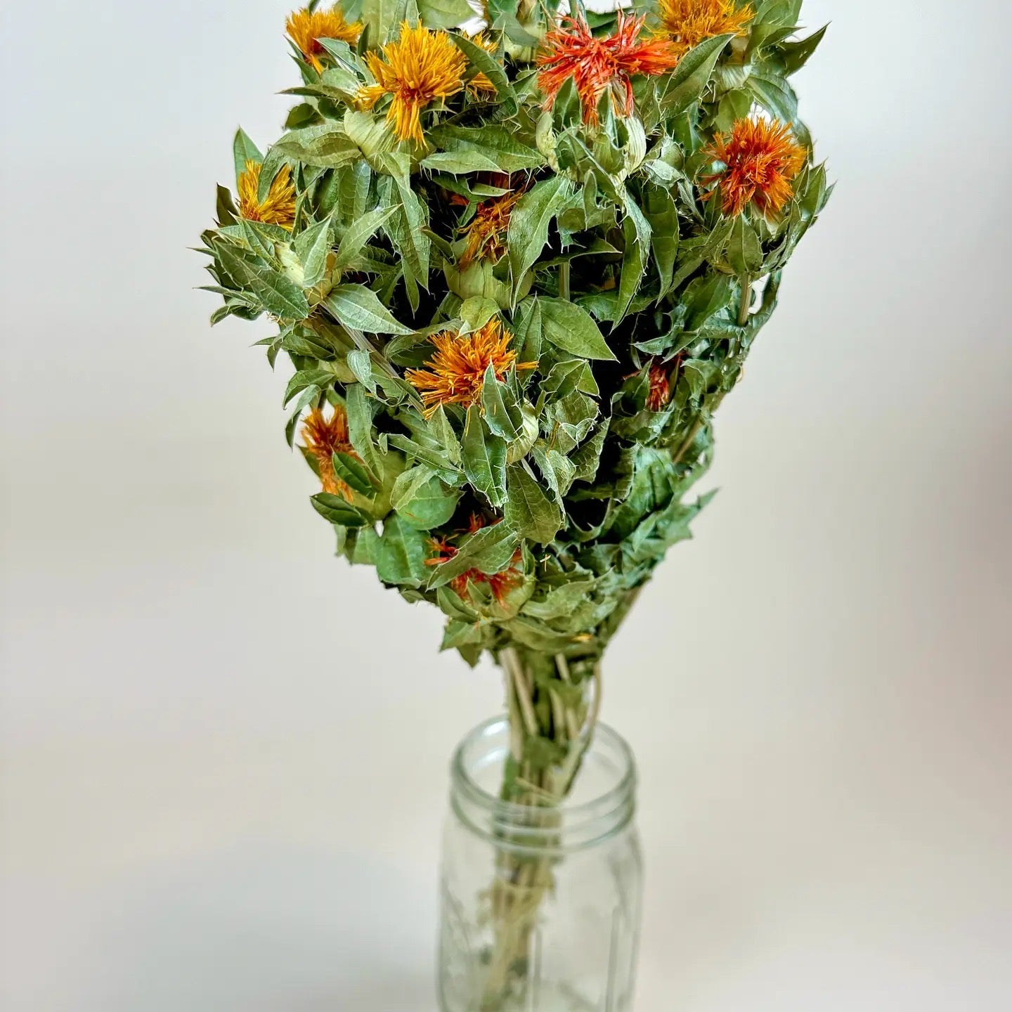 Autumn Safflower – Naturally Dried Flowers