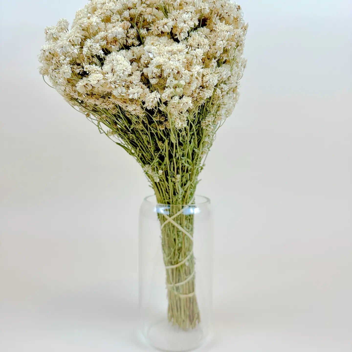 Achillea of Pearl - Delicate White Dried Flowers