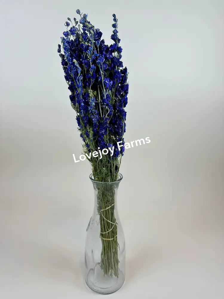 Dried Larkspur (Dark Blue) Dried Flowers