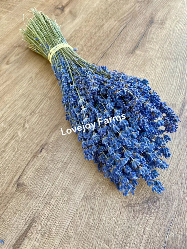 Dried Lavender Dried Flowers
