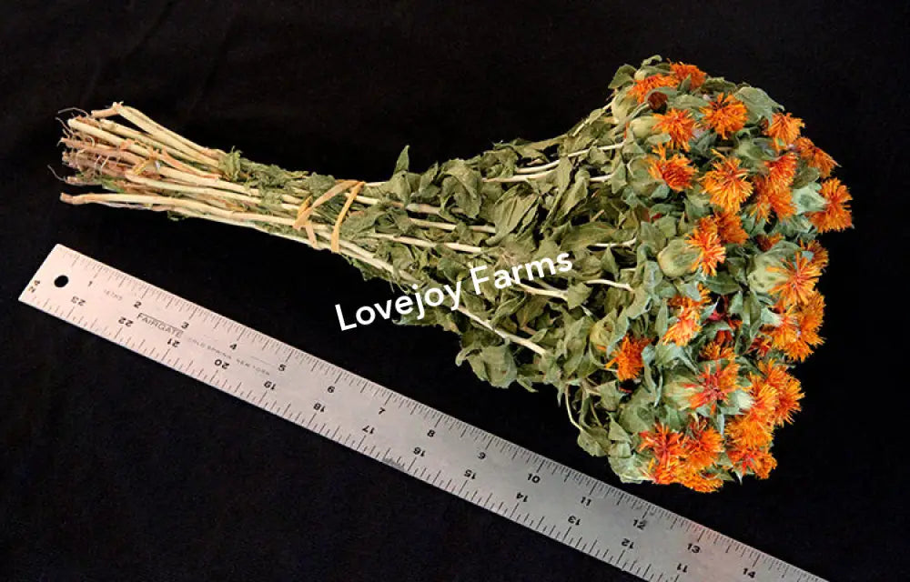 Dried Safflower – Orange Dried Flowers