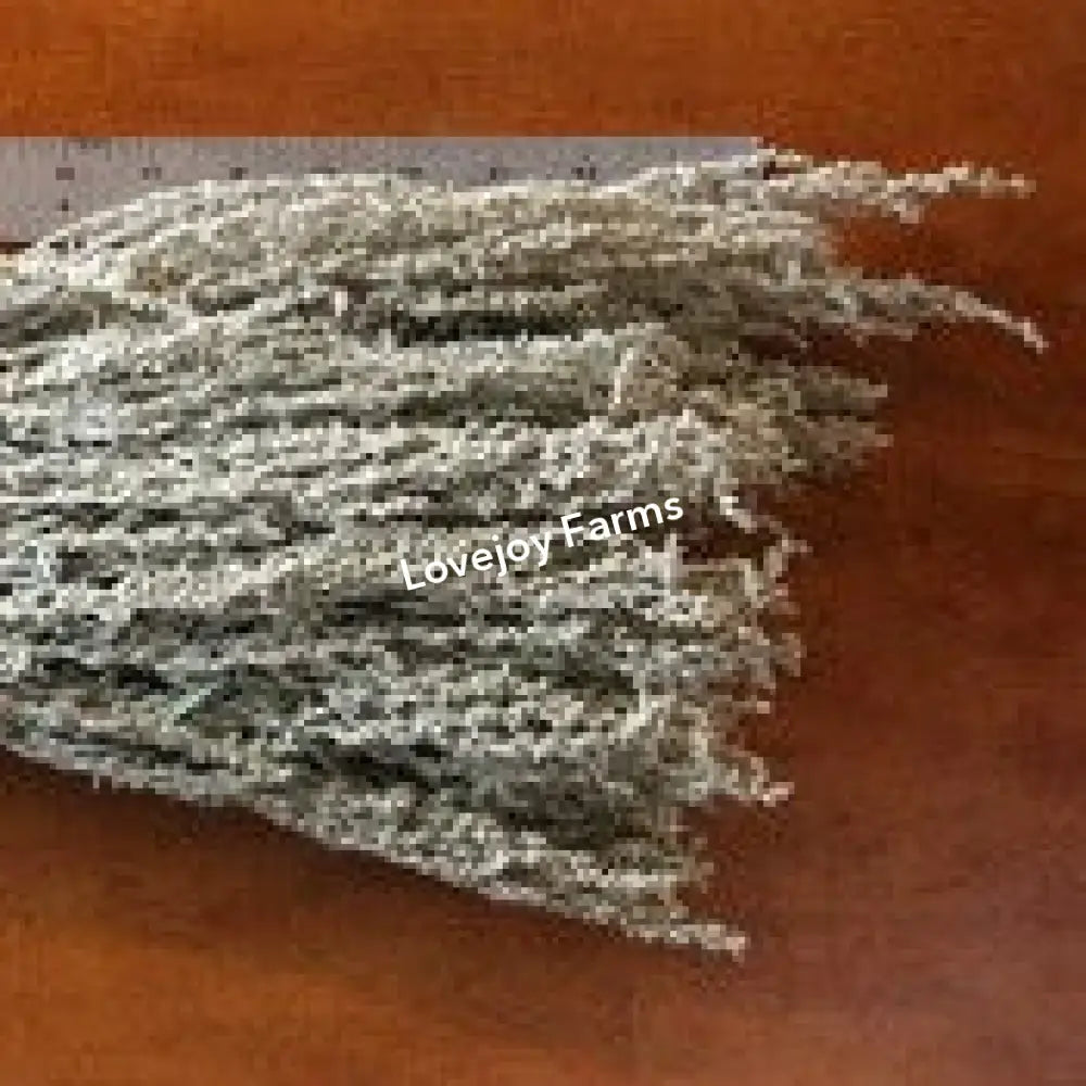 Dried Silver King Artemesia Dried Flowers