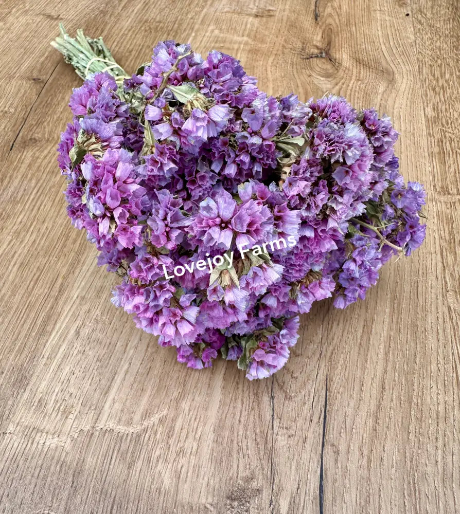 Dried Sinuata Statice (Pink) Dried Flowers