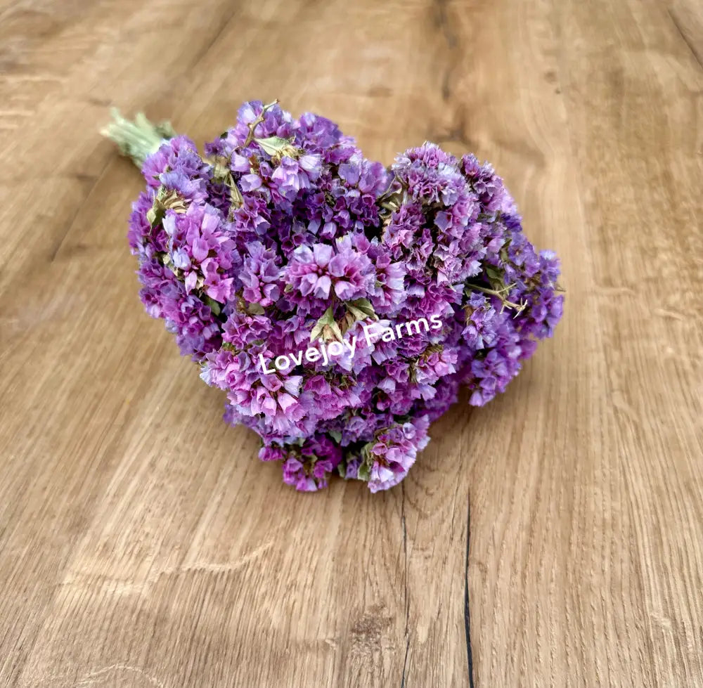 Dried Sinuata Statice (Pink) Dried Flowers