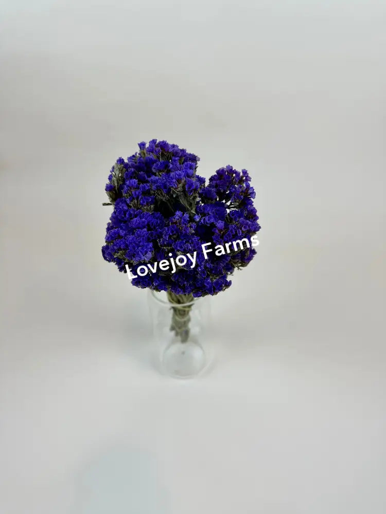 Dried Sinuata Statice (Purple) Dried Flowers
