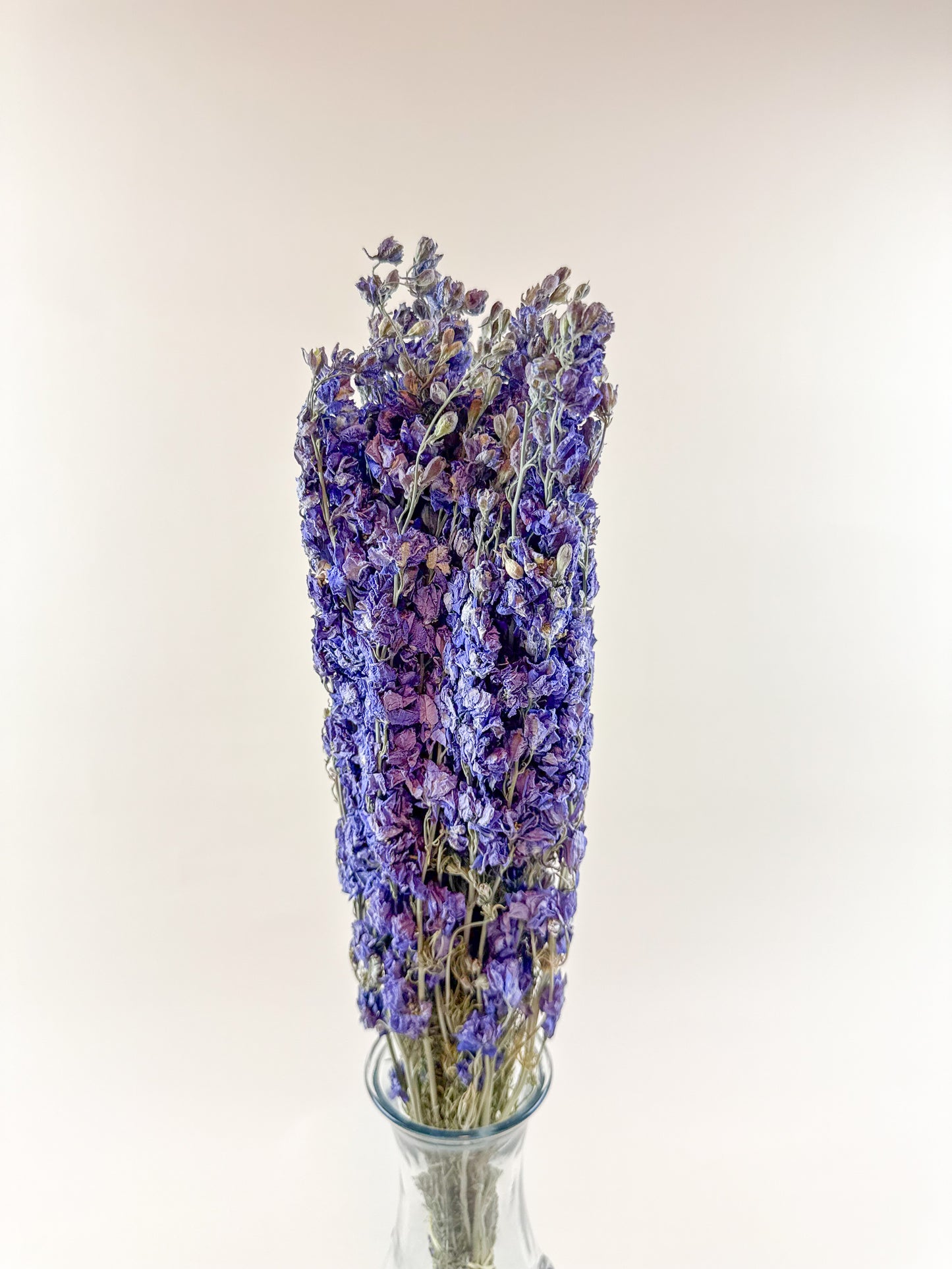 Lilac Imperial Double Bloom Larkspur – Naturally Dried