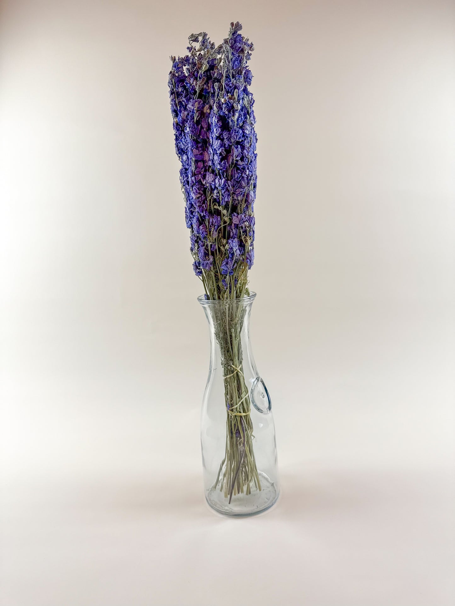 Lilac Imperial Double Bloom Larkspur – Naturally Dried