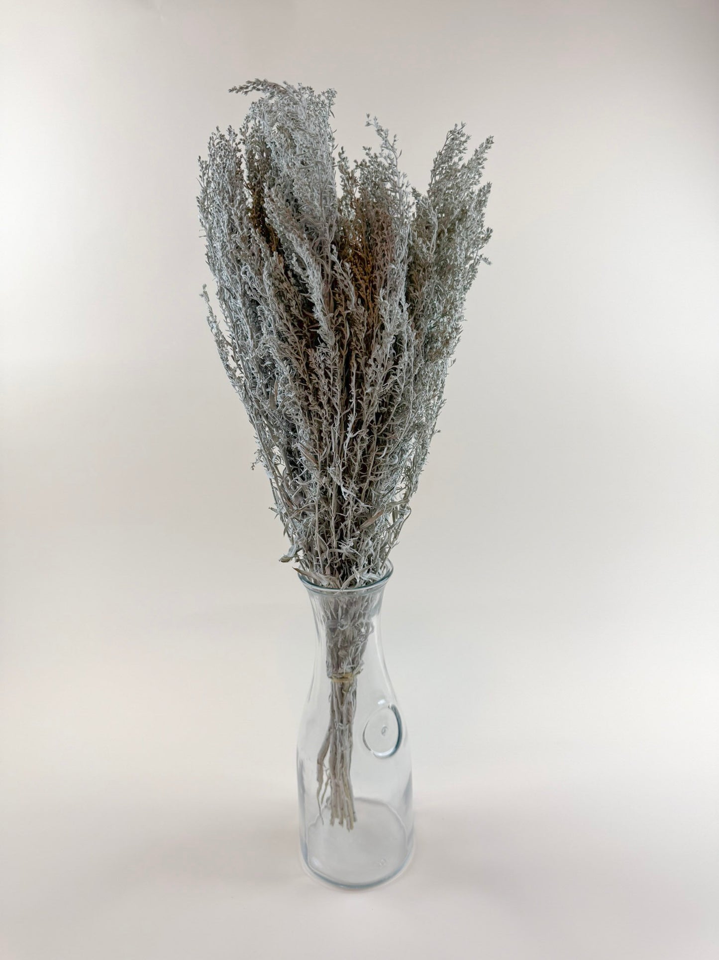Silver King Artemesia – Naturally Dried Foliage