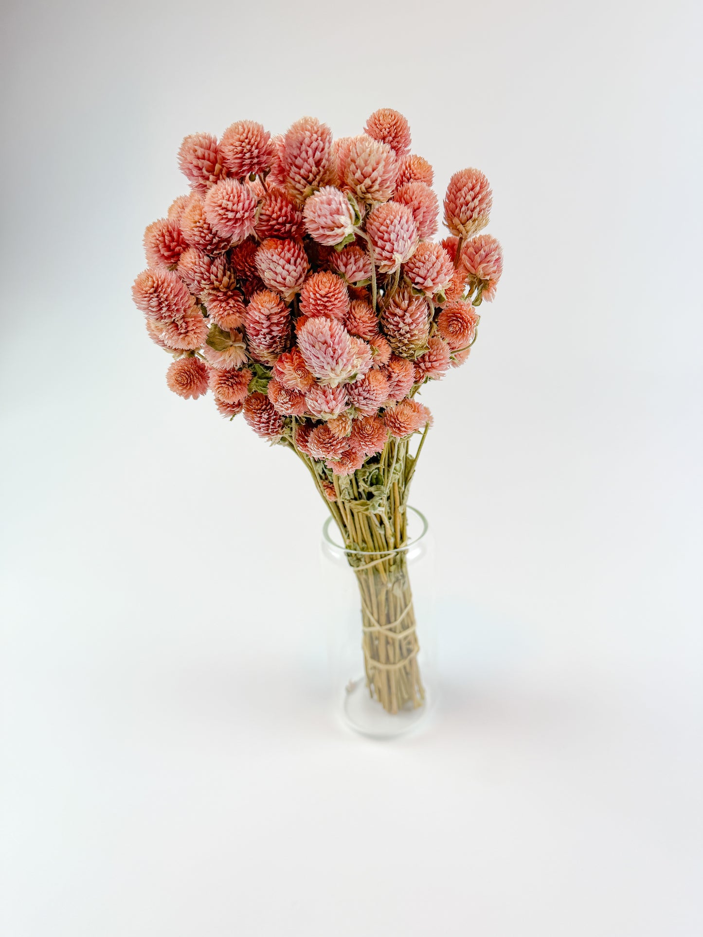 Rose Pink Globe Amaranth - Naturally Dried Flowers