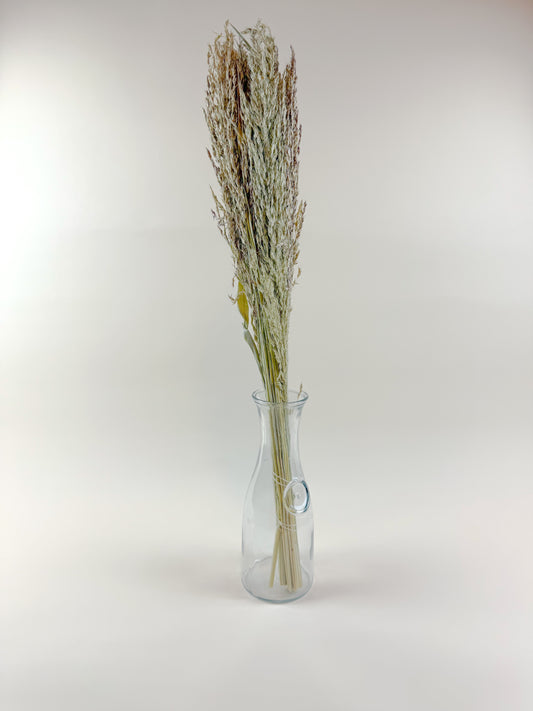 Sudan Grass – Natural Dried Stalks for Rustic Décor