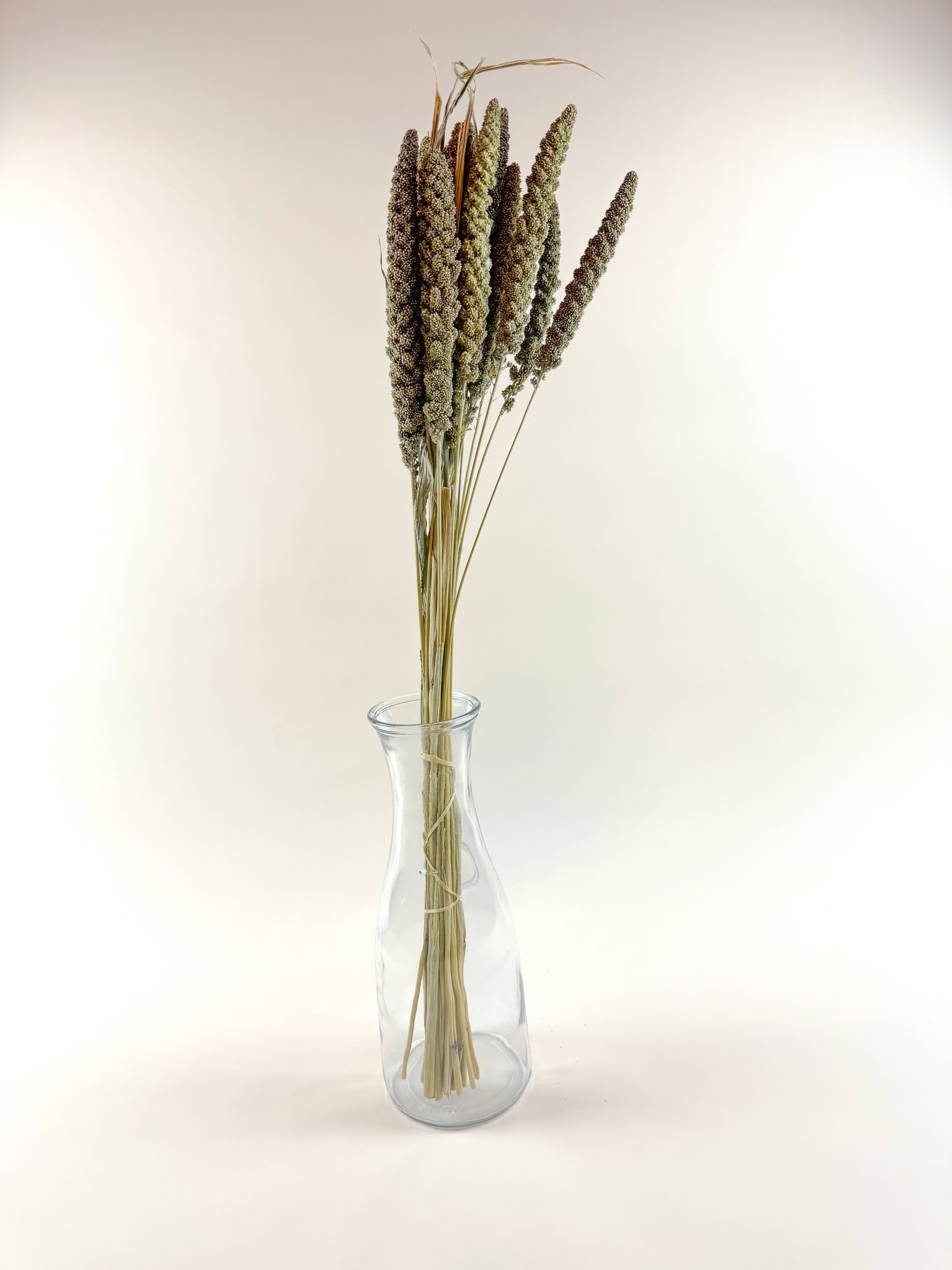 Hilander Grass – Natural Dried Brown & Green Stems