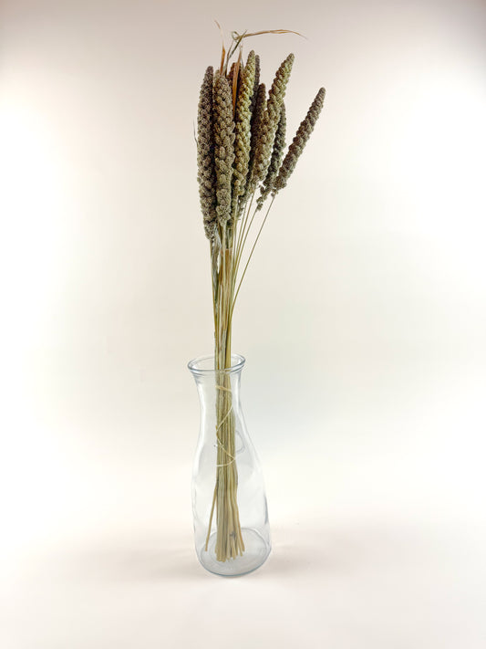 Hilander Grass – Natural Dried Brown & Green Stems