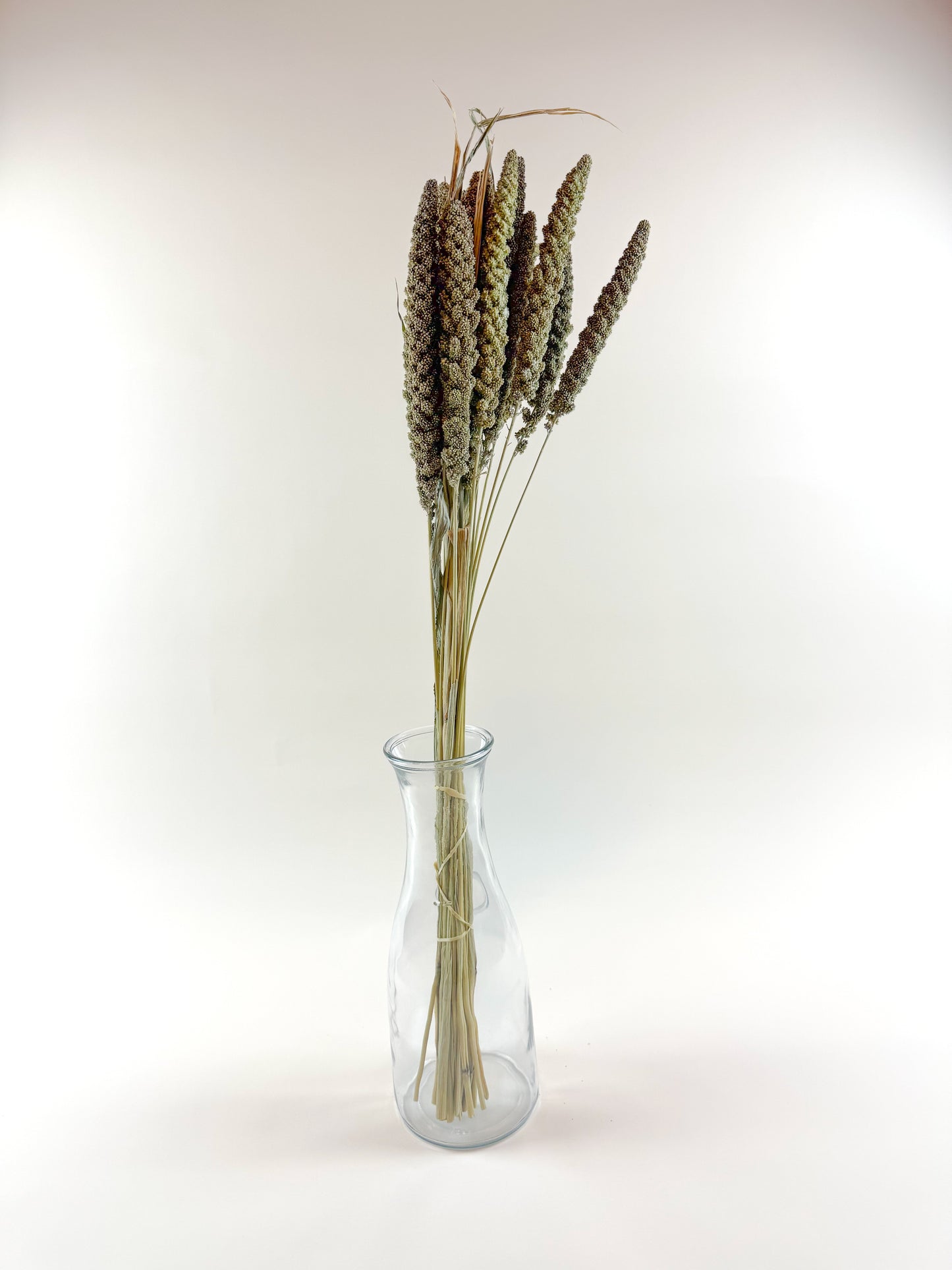 Hilander Grass – Natural Dried Brown & Green Stems