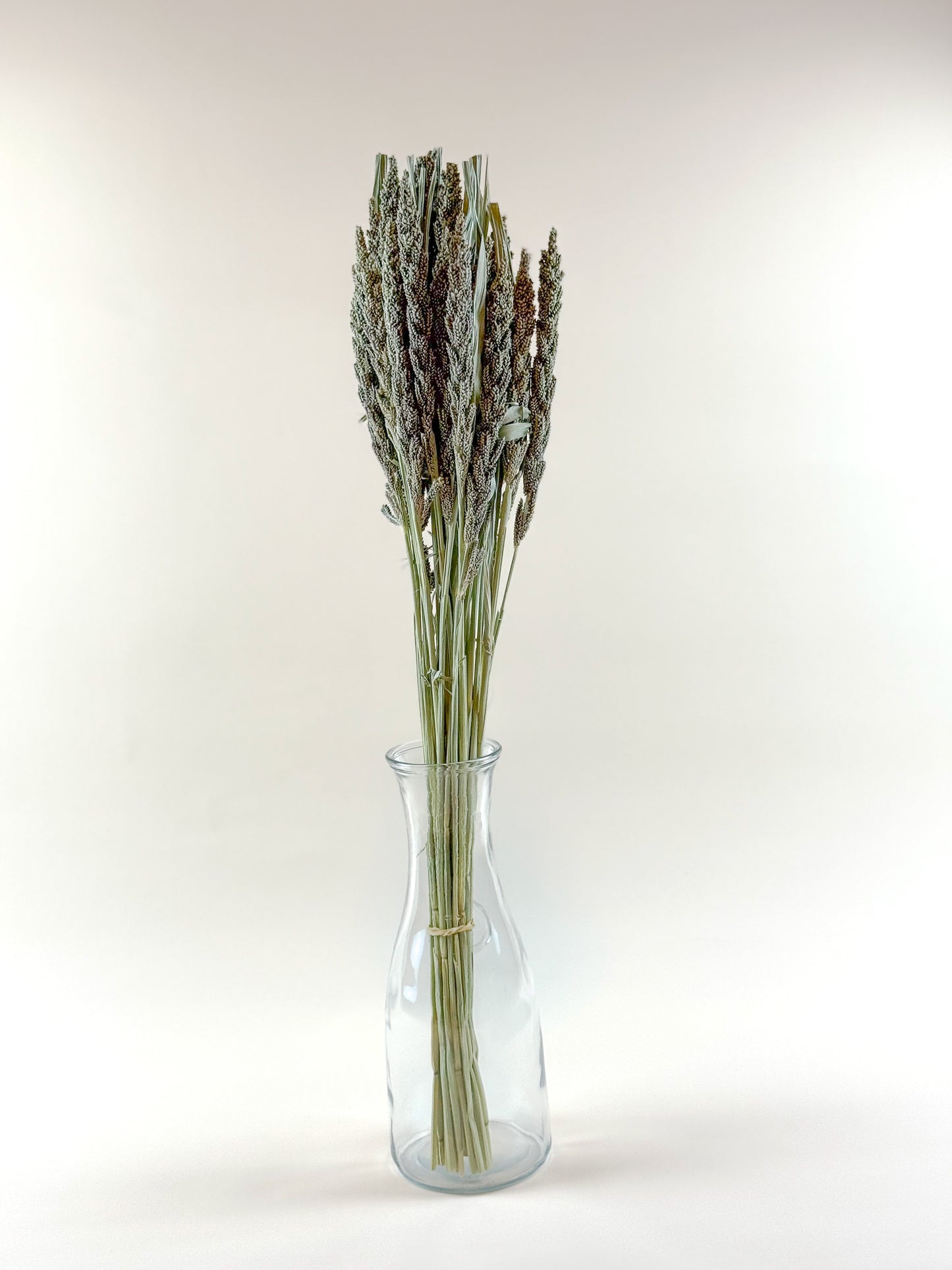 Tapestry Millet – Natural Dried Millet for Floral Design