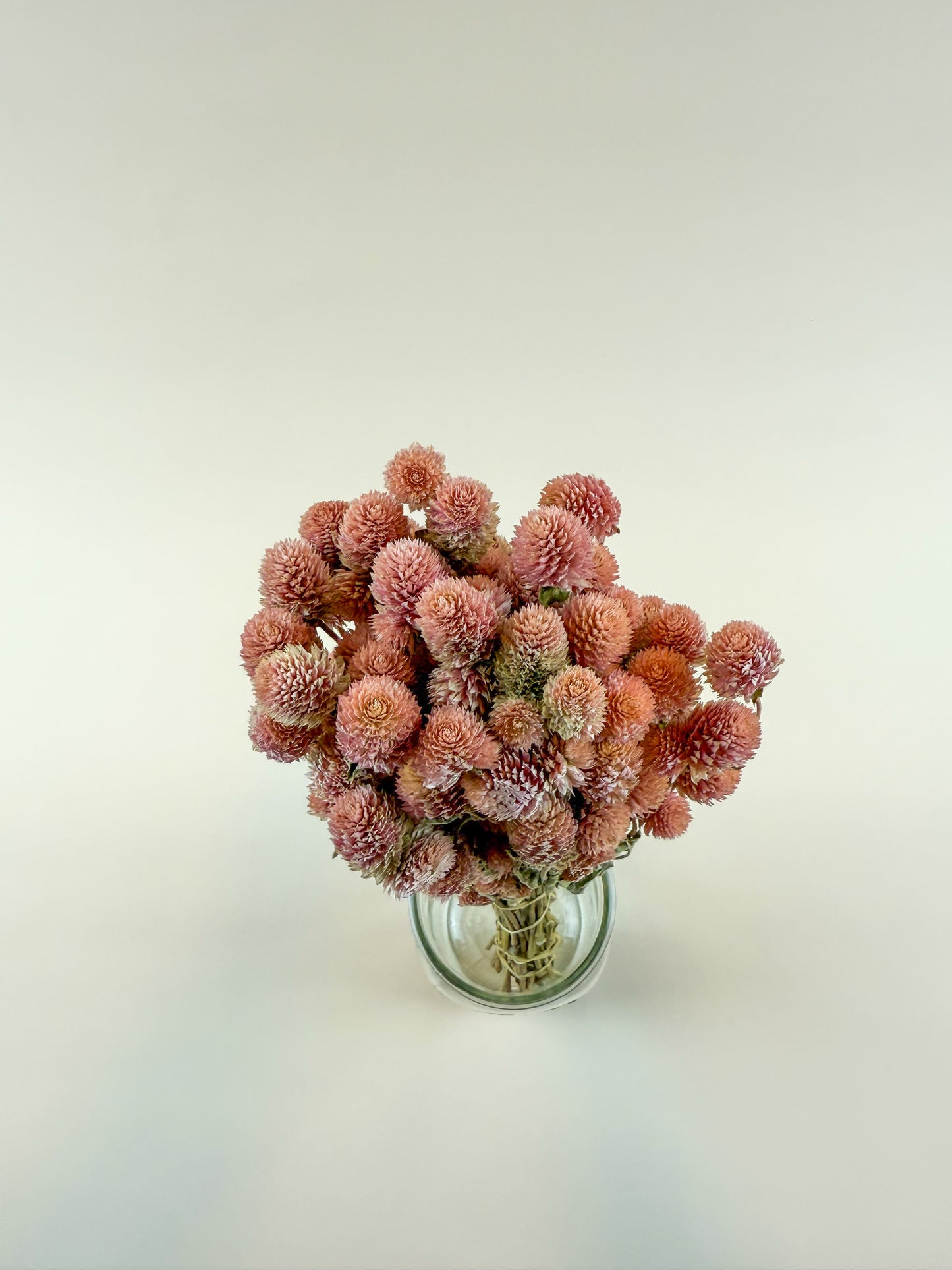 Rose Pink Globe Amaranth - Naturally Dried Flowers