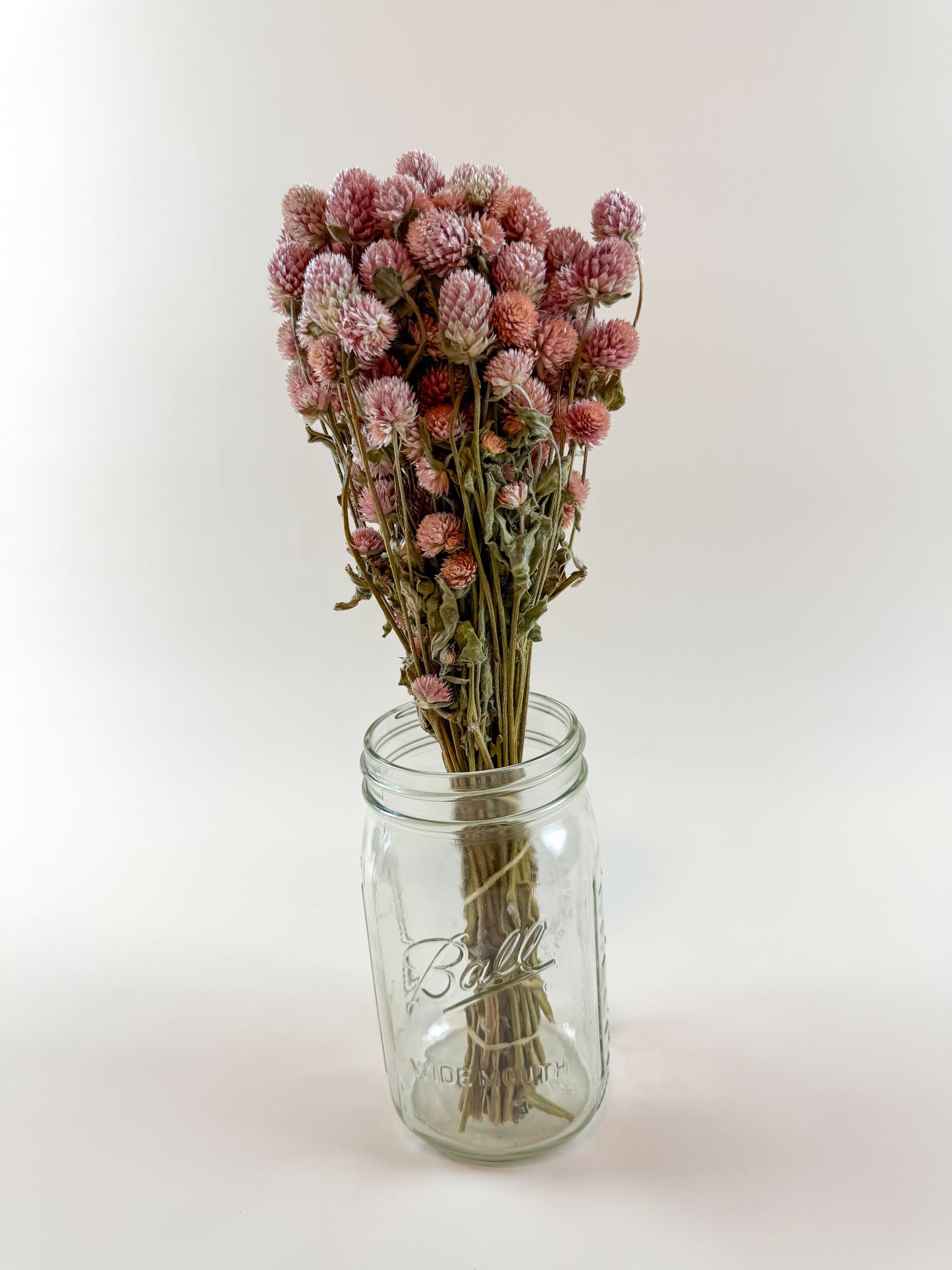 Rose Pink Globe Amaranth - Naturally Dried Flowers