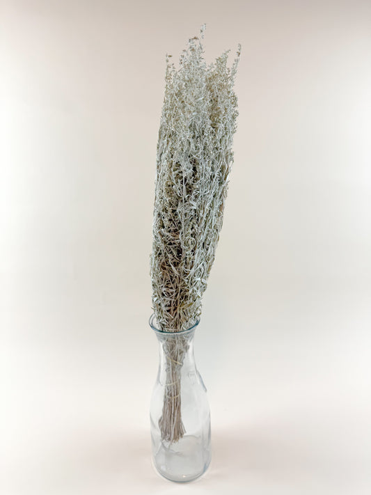 Silver King Artemesia – Naturally Dried Foliage