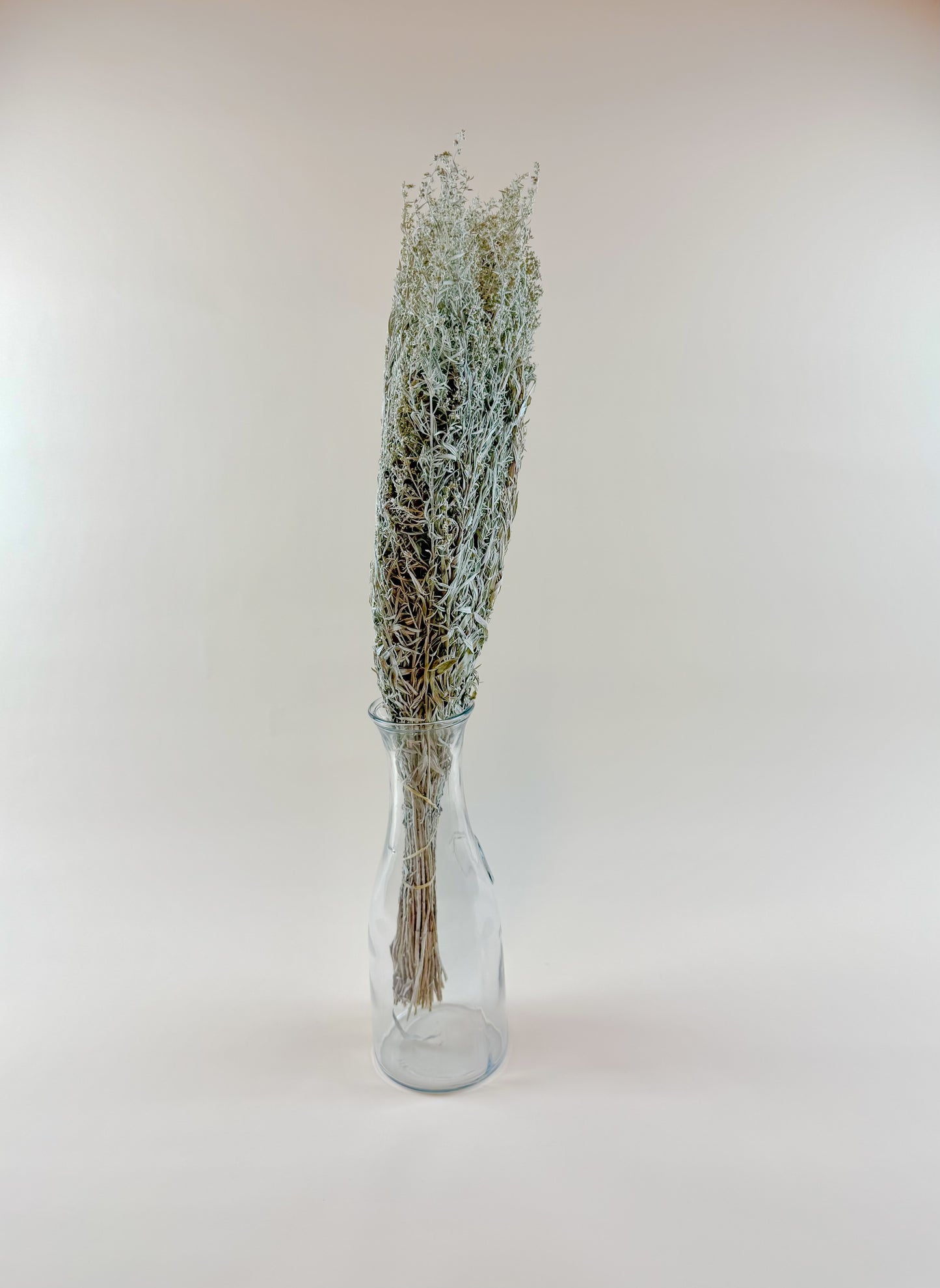 Silver King Artemesia – Naturally Dried Foliage