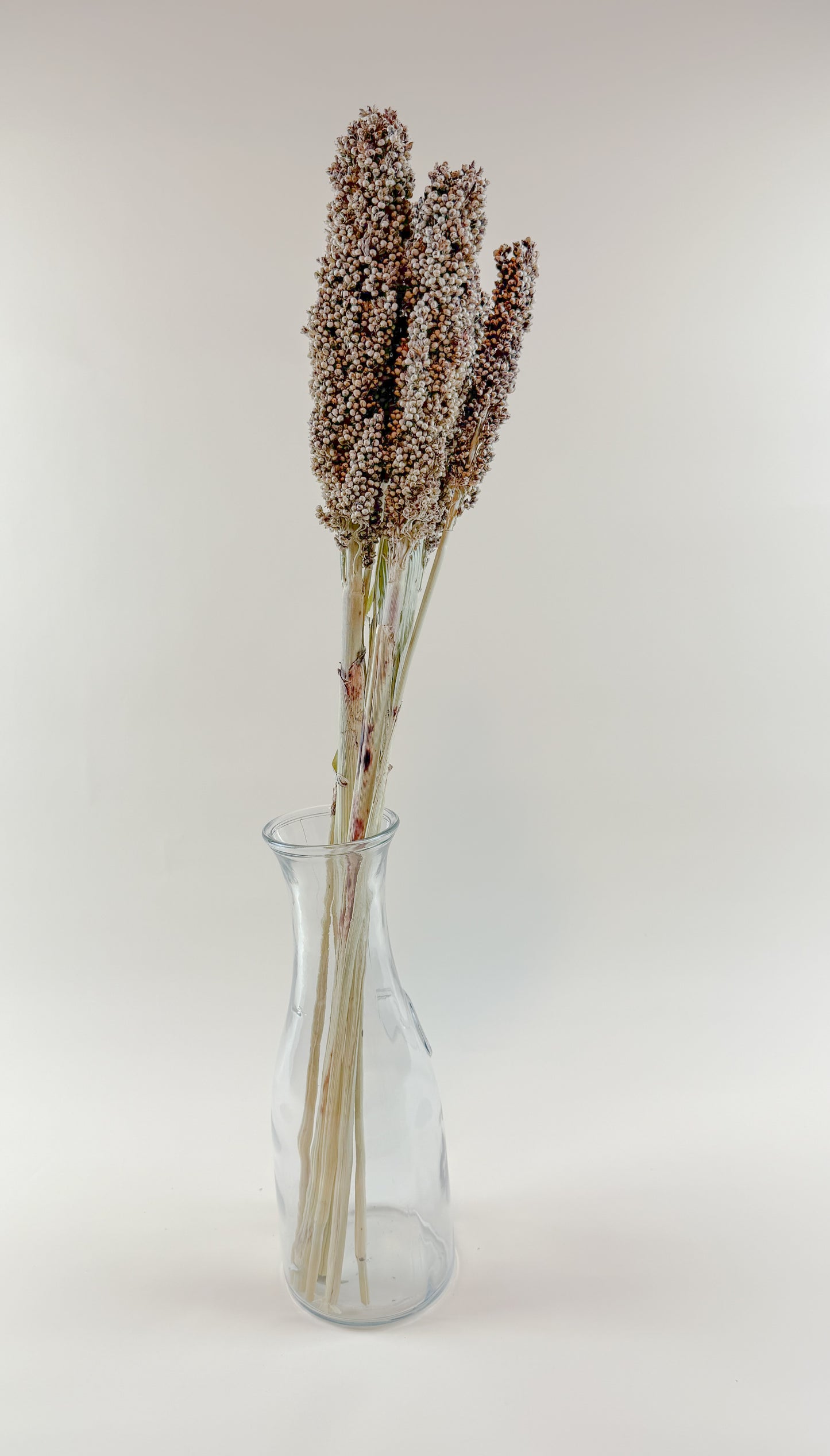 Pinto Berries – Natural Dried Berries for Floral Arrangement