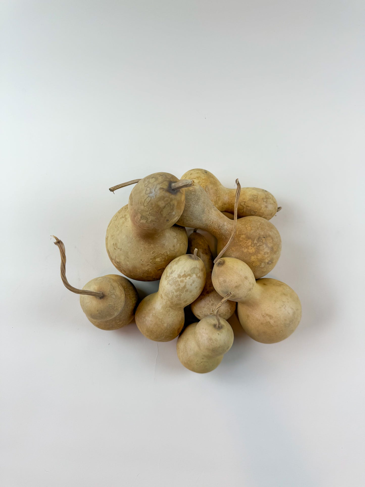 Gourds -Naturally Dried /12 Count Variety Pack