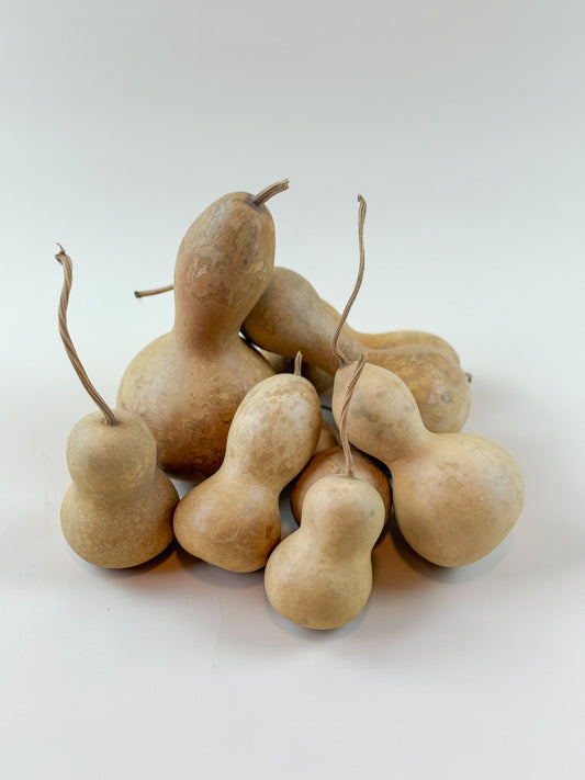 Gourds -Naturally Dried /12 Count Variety Pack