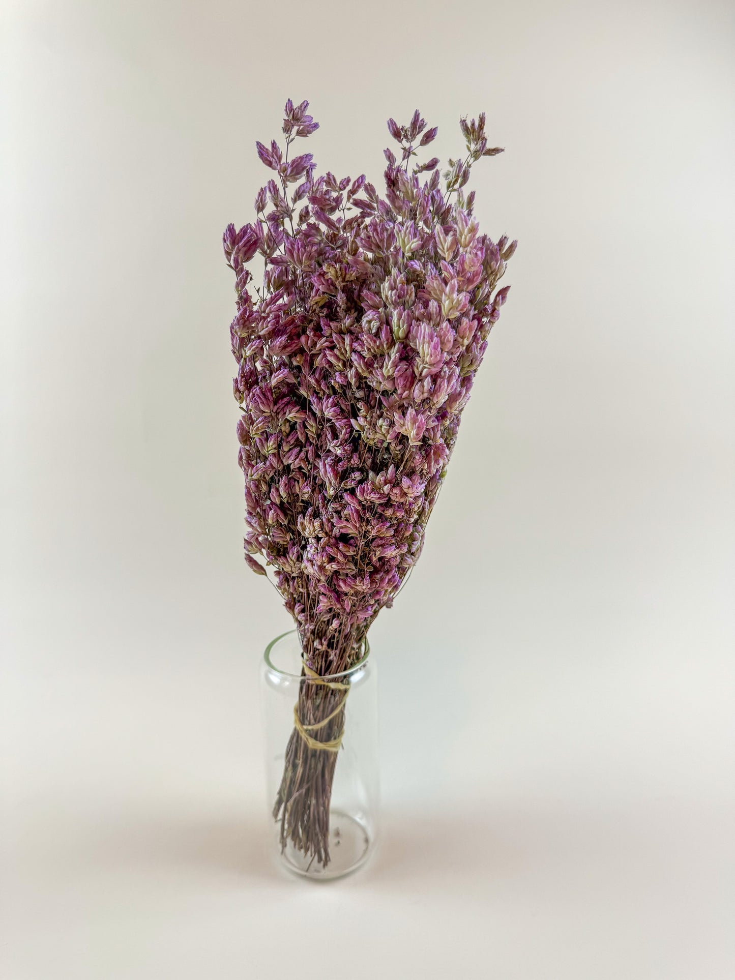 Santa Cruz Oregano – Naturally Air-Dried Decorative Herb