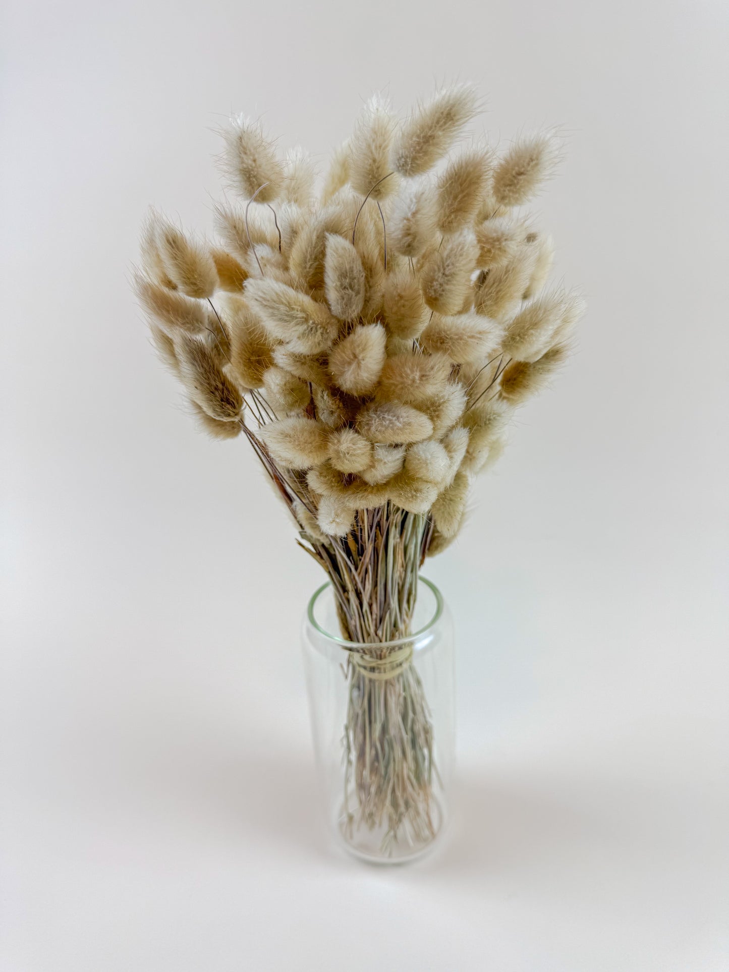 Naturally Dried Bunny Tails – Boho Lagurus Grass Stems