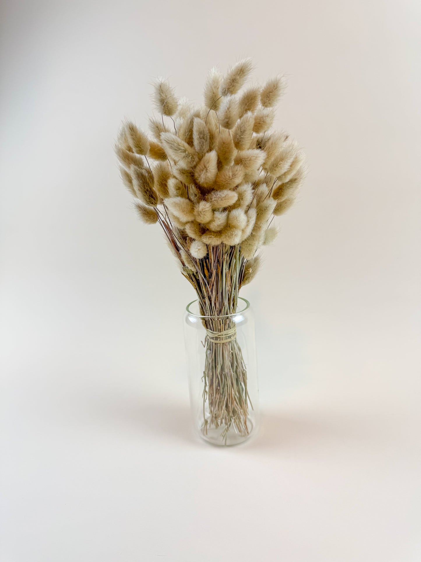 Naturally Dried Bunny Tails – Boho Lagurus Grass Stems