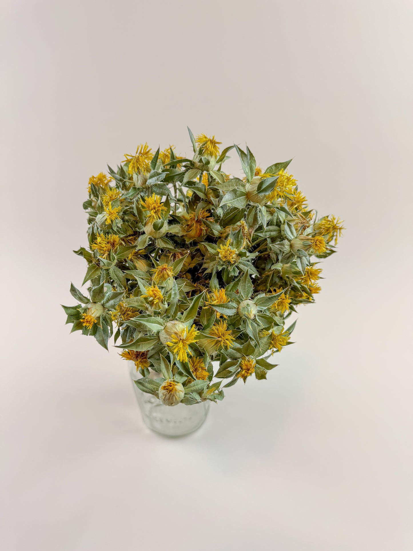 Safflower - Yellow Naturally Dried Flowers