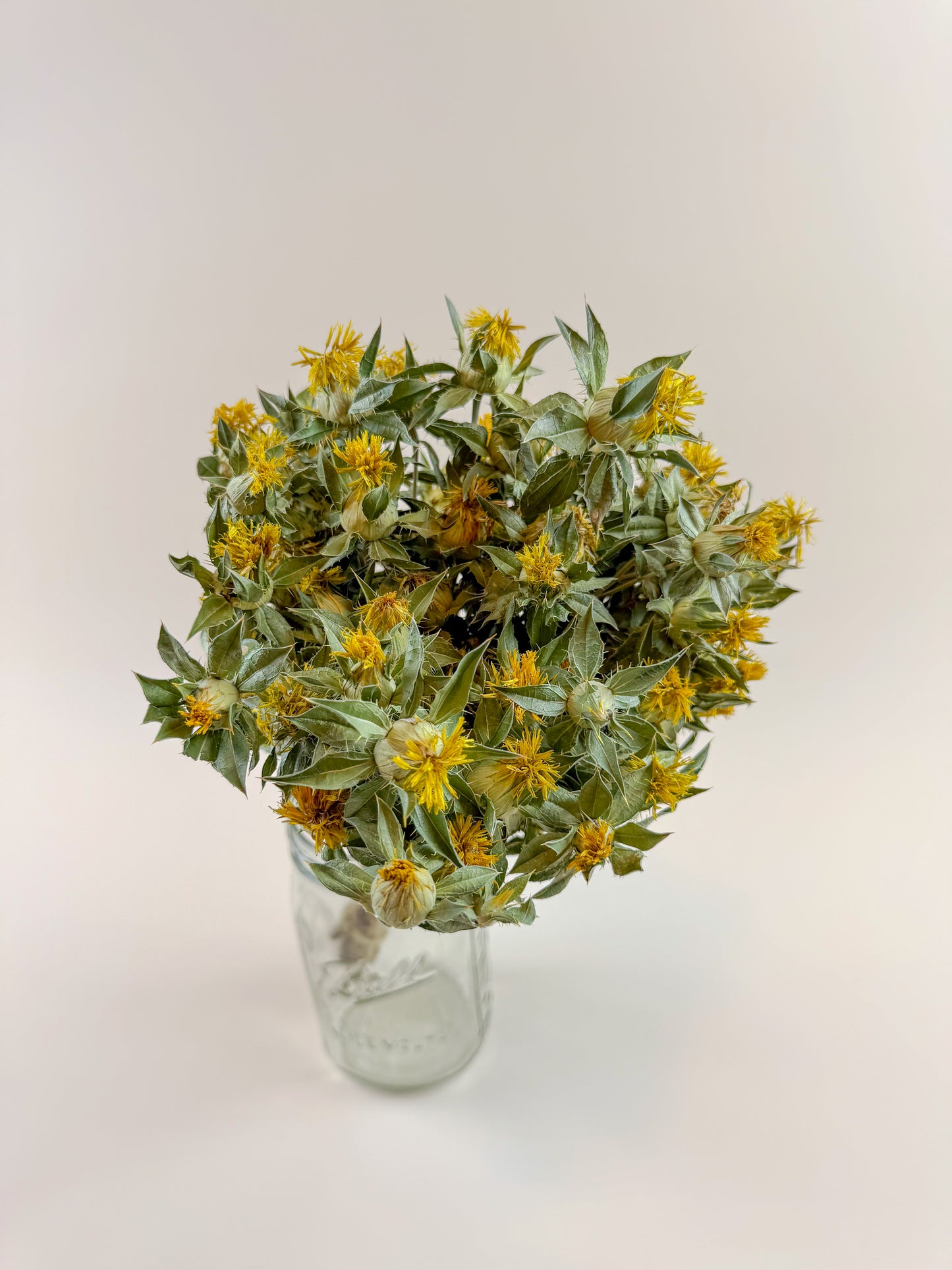 Safflower - Yellow Naturally Dried Flowers
