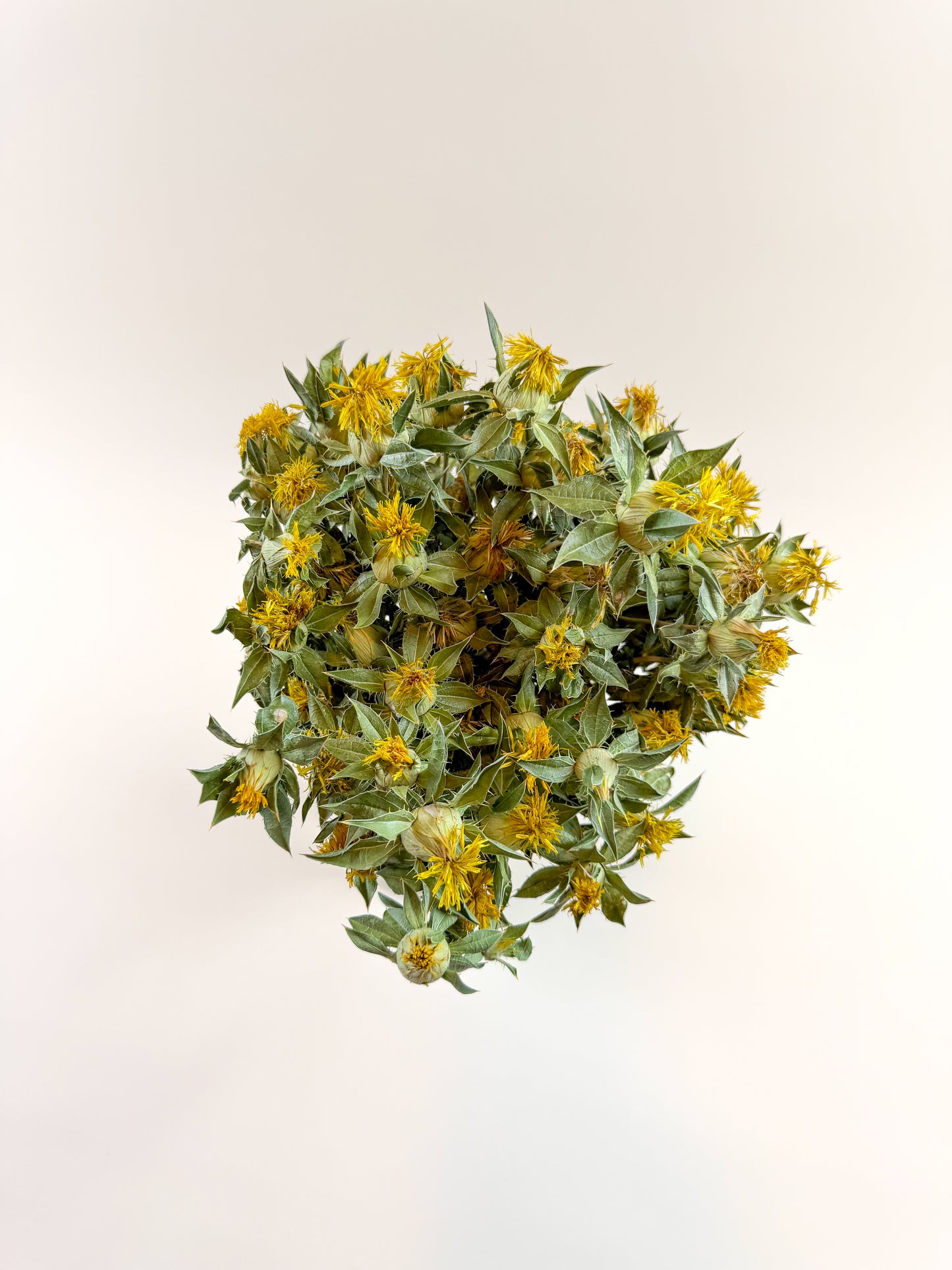 Safflower - Yellow Naturally Dried Flowers