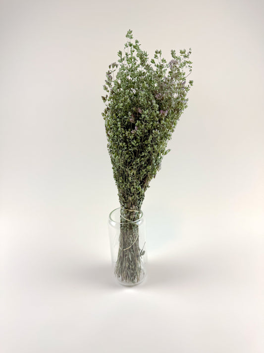 Santa Cruz Oregano – Green, Naturally Dried Floral Herb