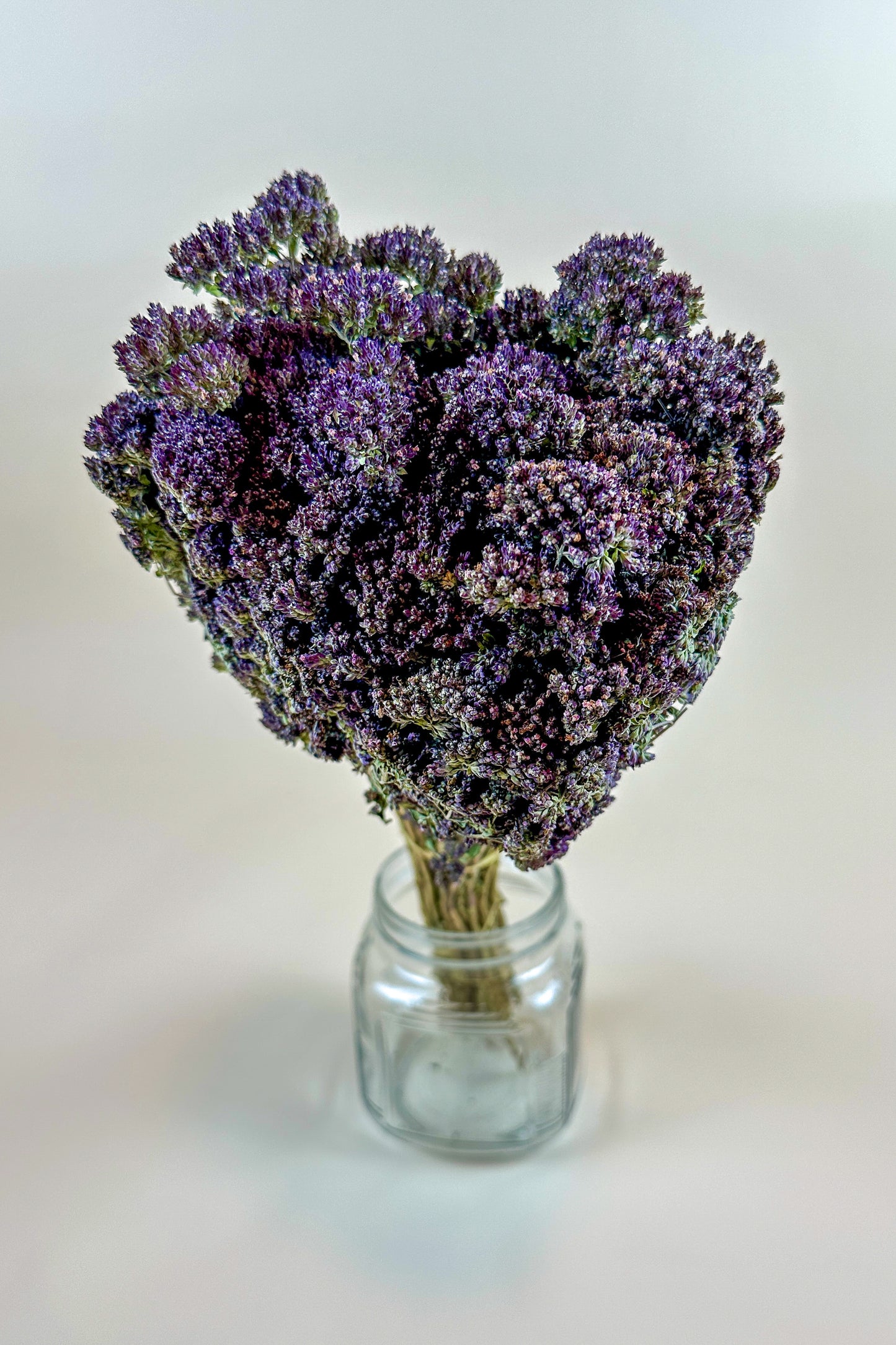 Purple Blossom Greek Oregano – Naturally Dried