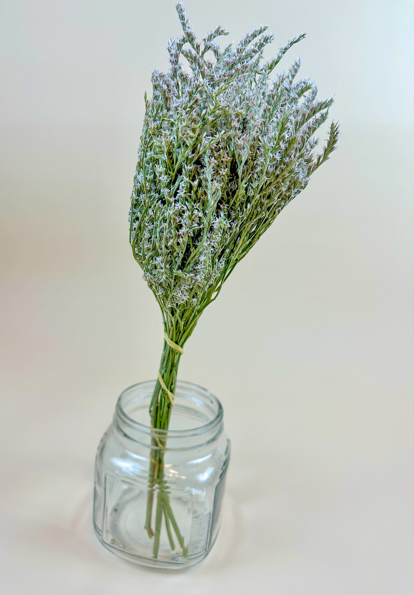 German Statice (10 lb case) - Naturally Dried Flowers