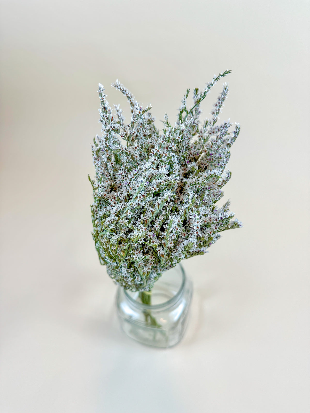 German Static German Statice (1 lb case) - Naturally Dried Flowers – Lovejoy Farms