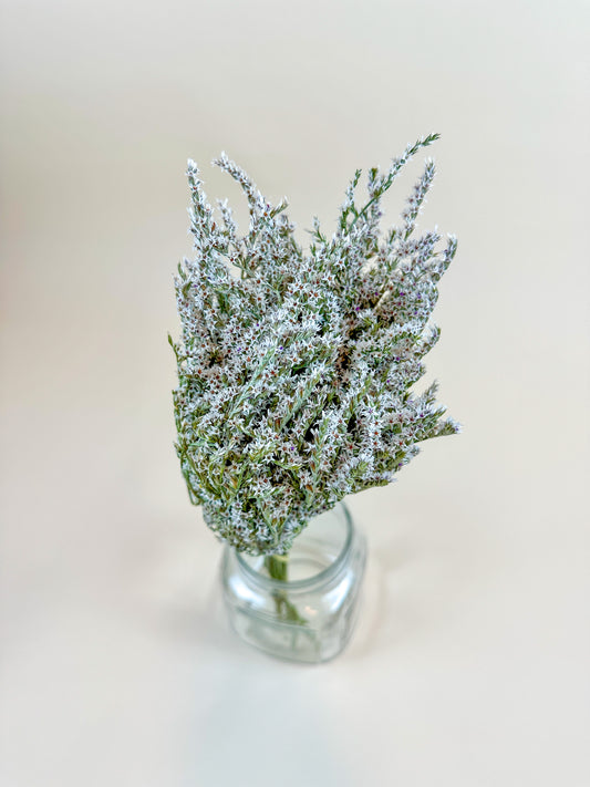 German Statice (10 lb case) - Naturally Dried Flowers