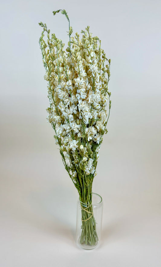 Larkspur White Imperial Double Bloom – Naturally Dried