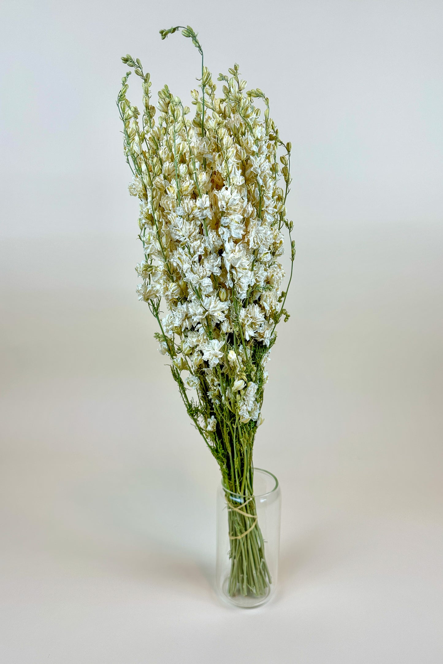 Larkspur White Imperial Double Bloom – Naturally Dried