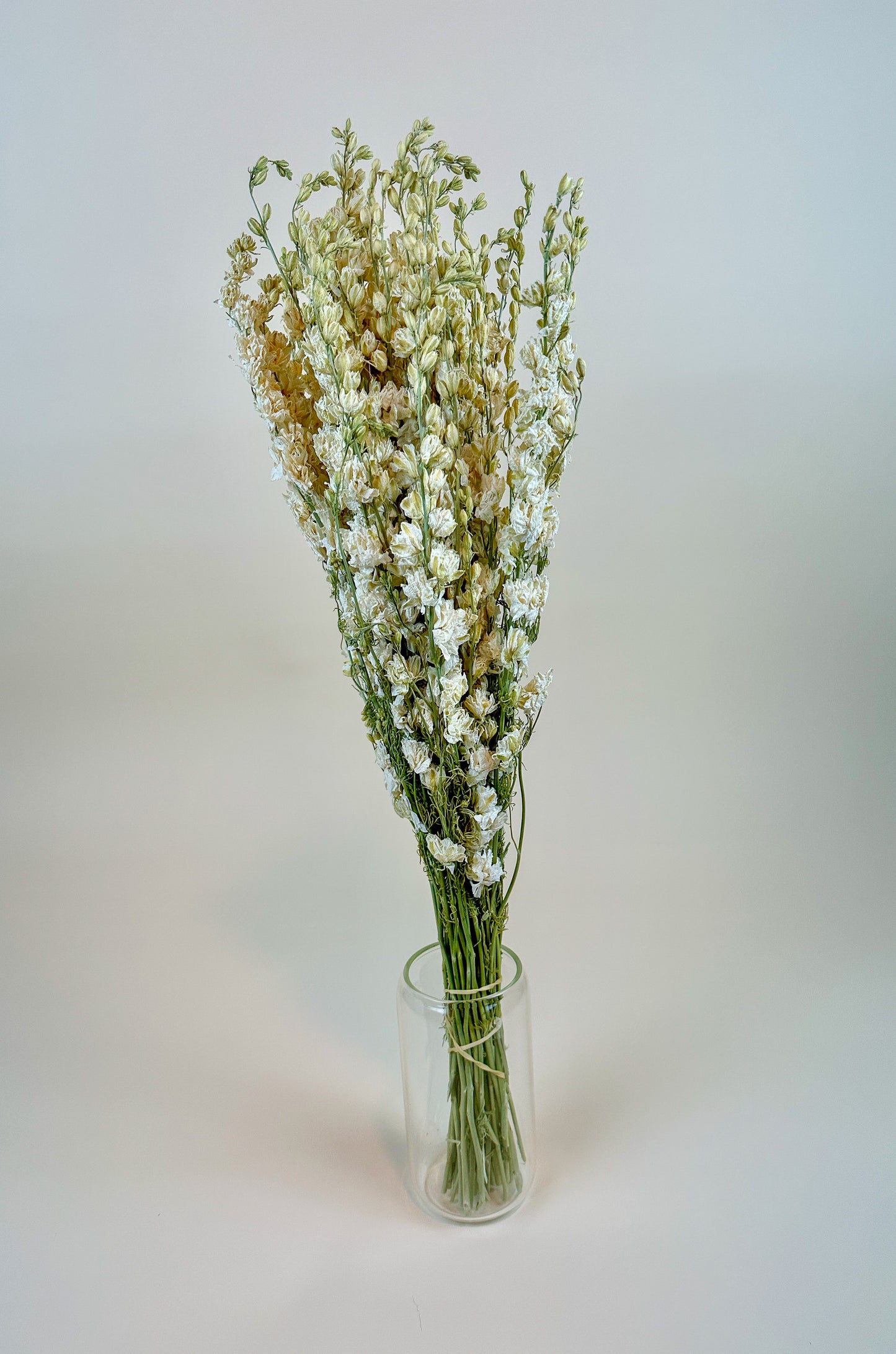 Larkspur White Imperial Double Bloom – Naturally Dried