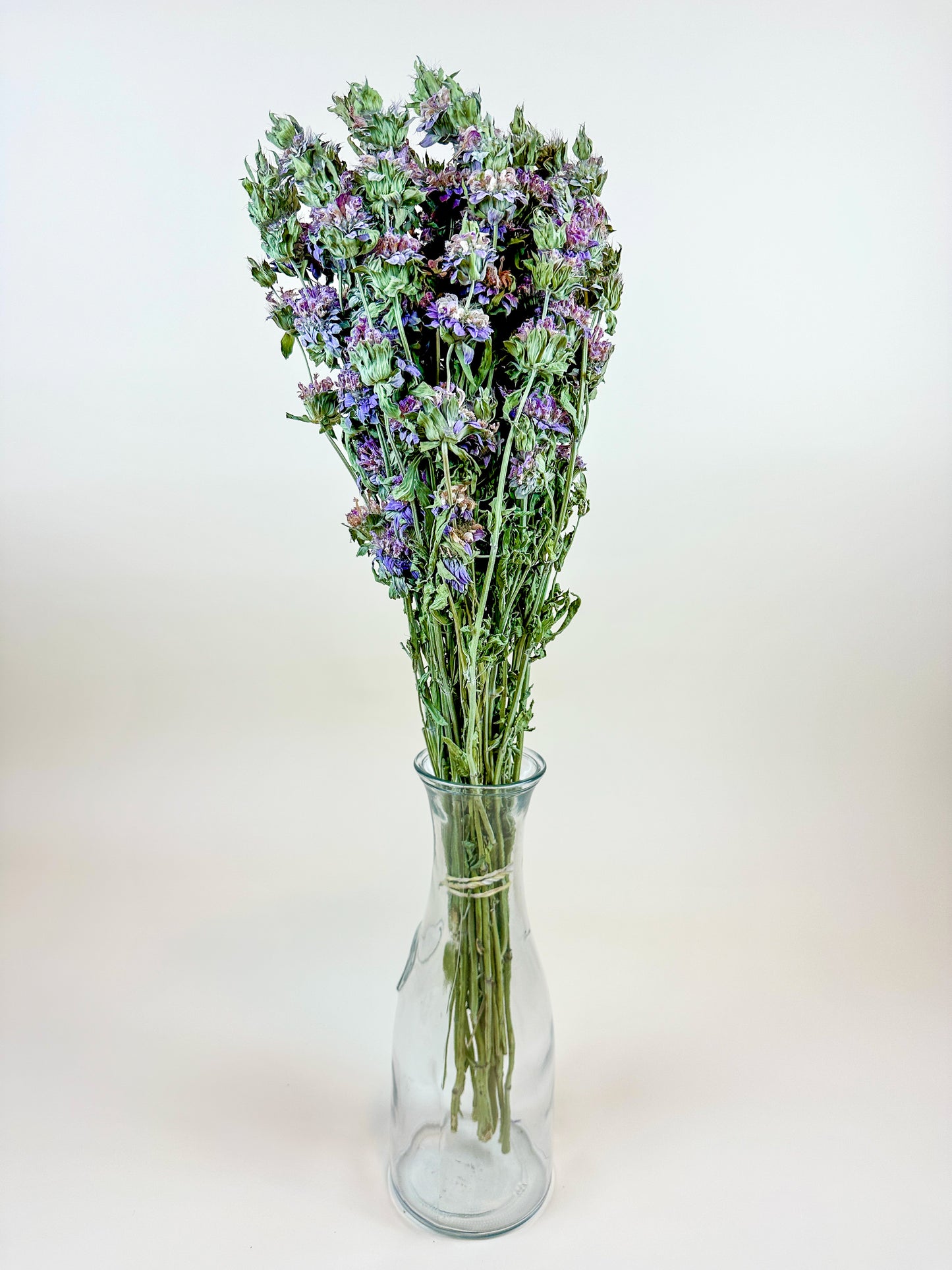 Lemon Mint – Dried Floral w/ Purple-Pink Blooms & Mild Mint