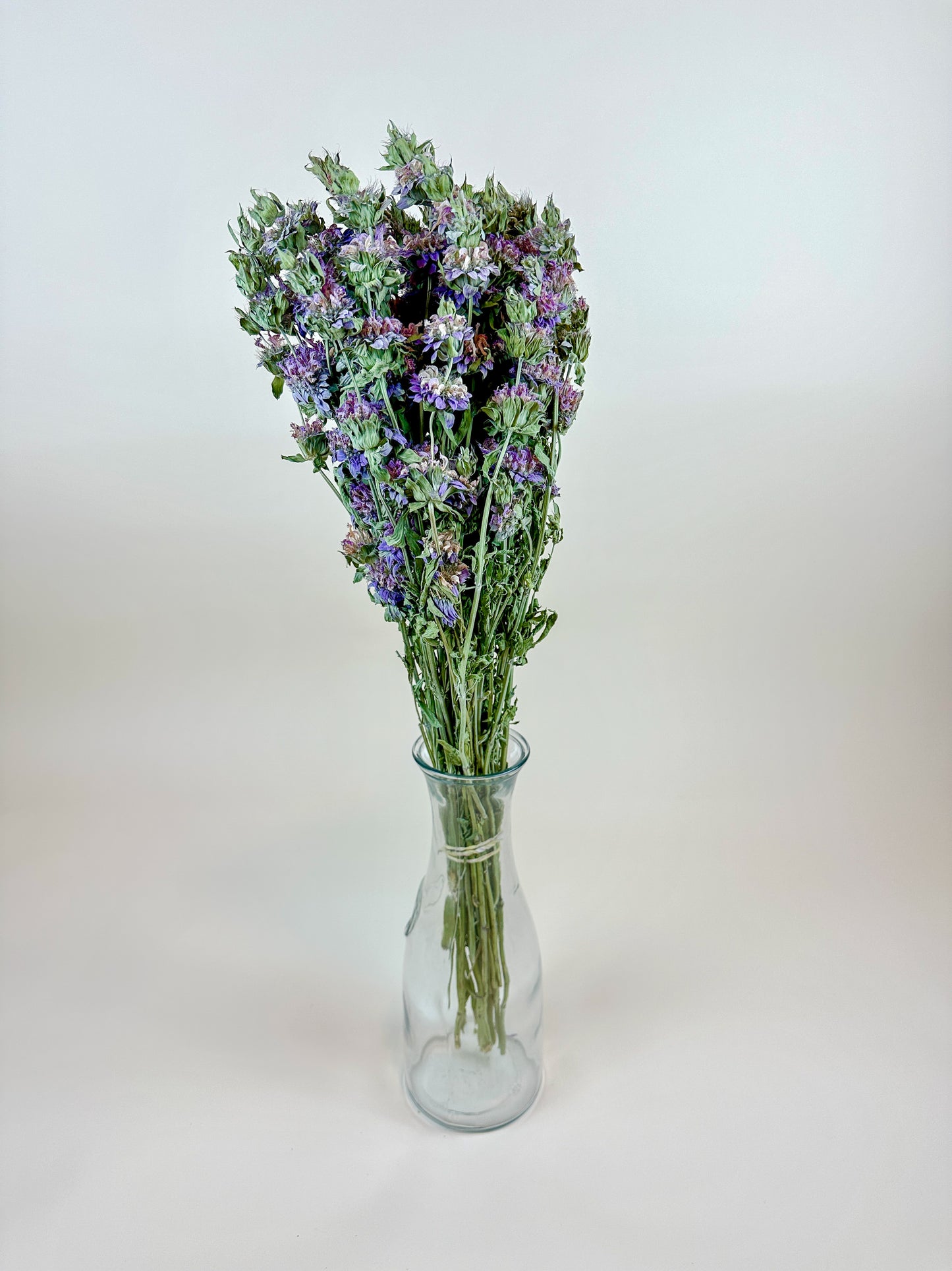 Lemon Mint – Dried Floral w/ Purple-Pink Blooms & Mild Mint