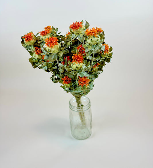 Safflower - Orange  Naturally Dried Flowers